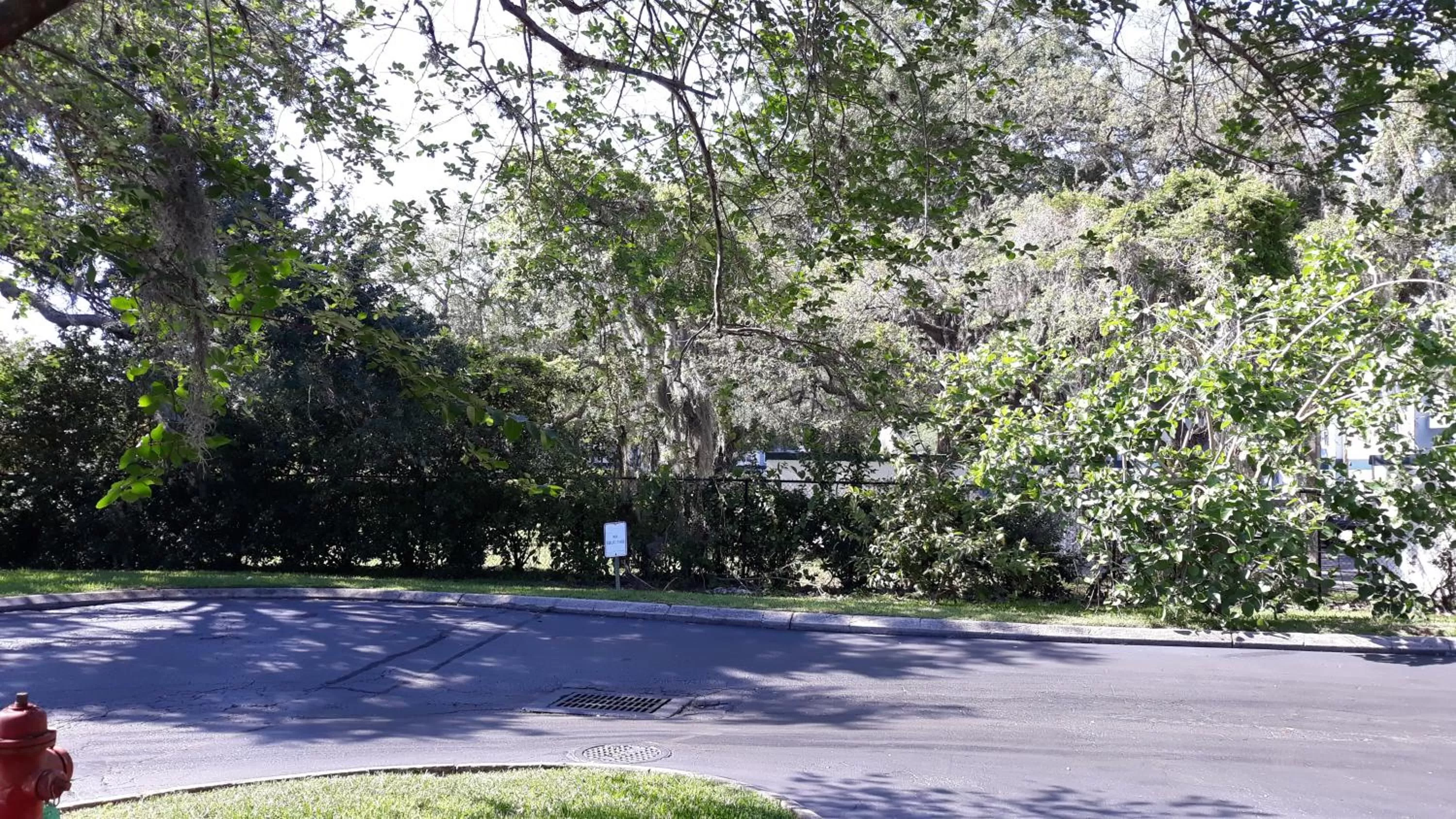 Natural landscape in Ramada by Wyndham Temple Terrace/Tampa North