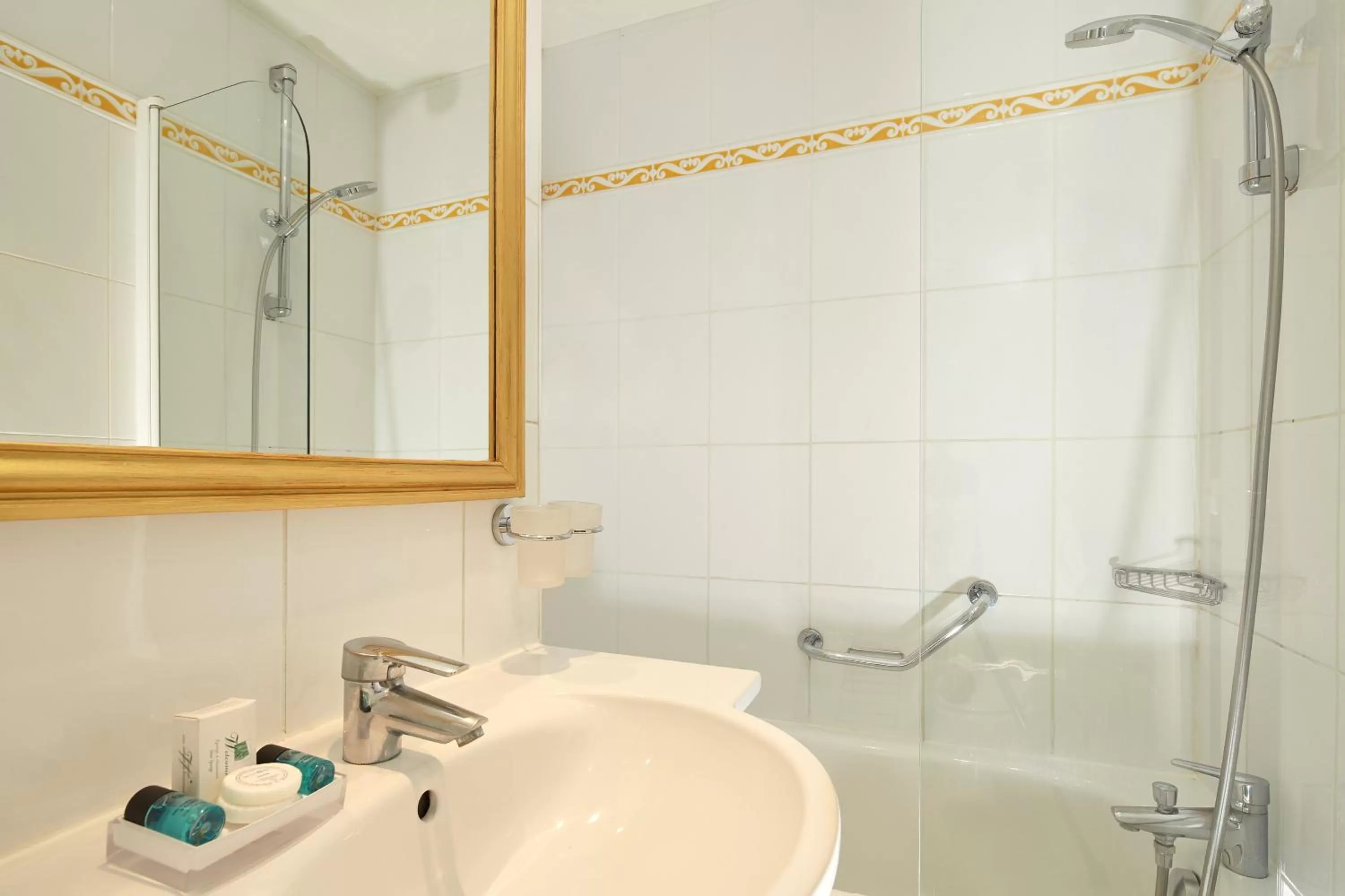 Shower in Austin's Arts Et Metiers Hotel