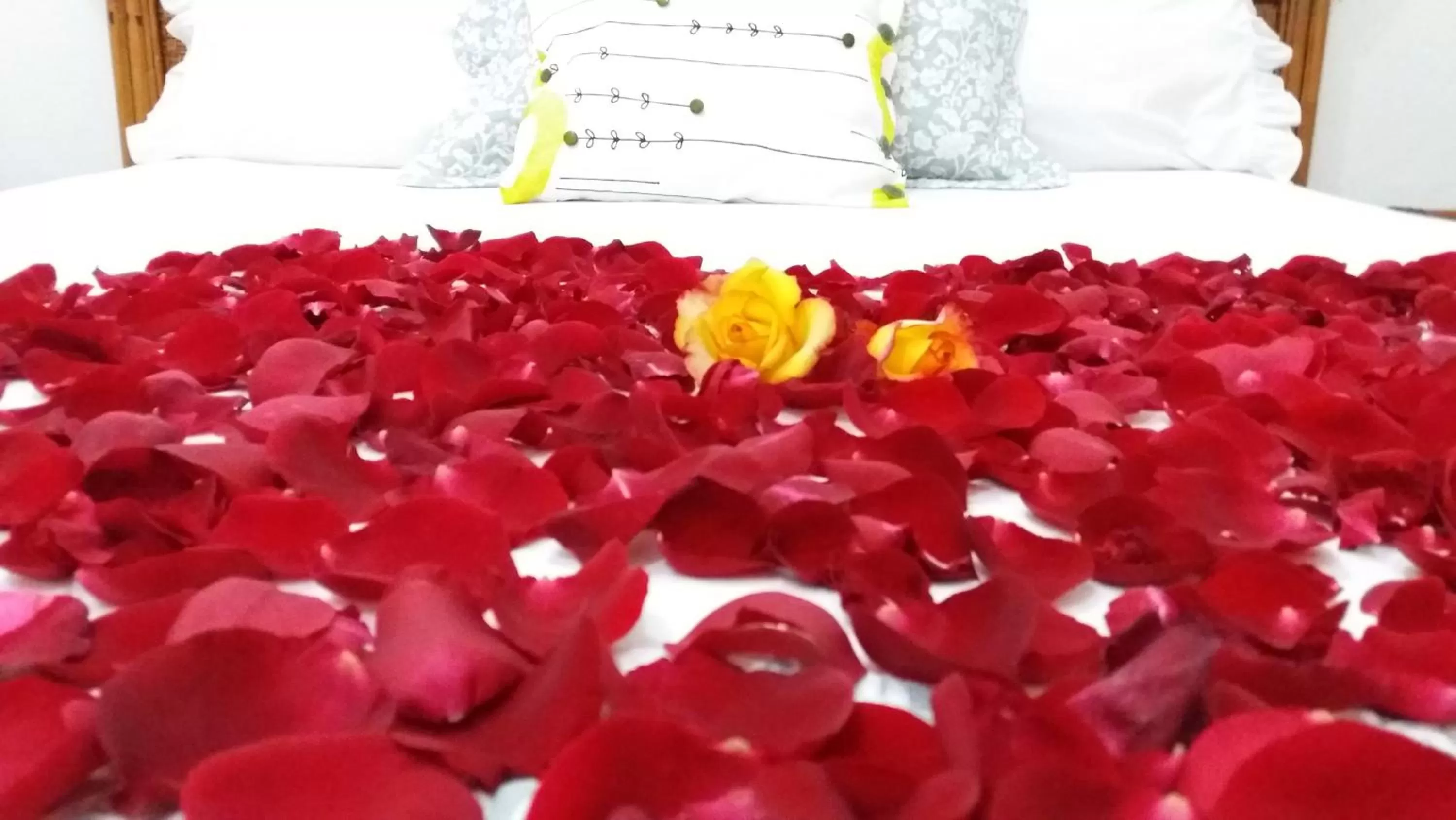 wedding, Bed in Hotel Boutique Simona