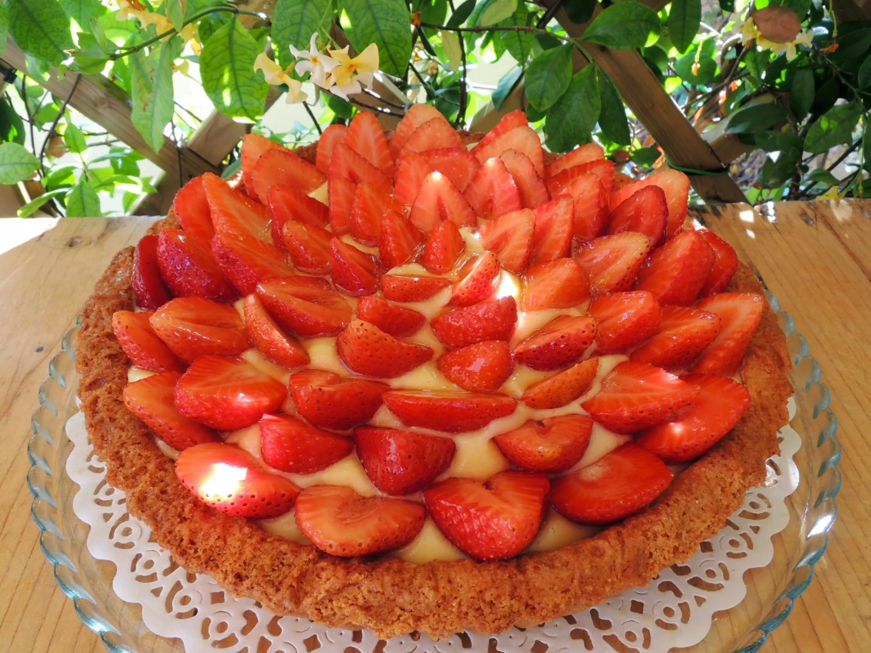 Buffet breakfast in TerraSole Bakery B&B