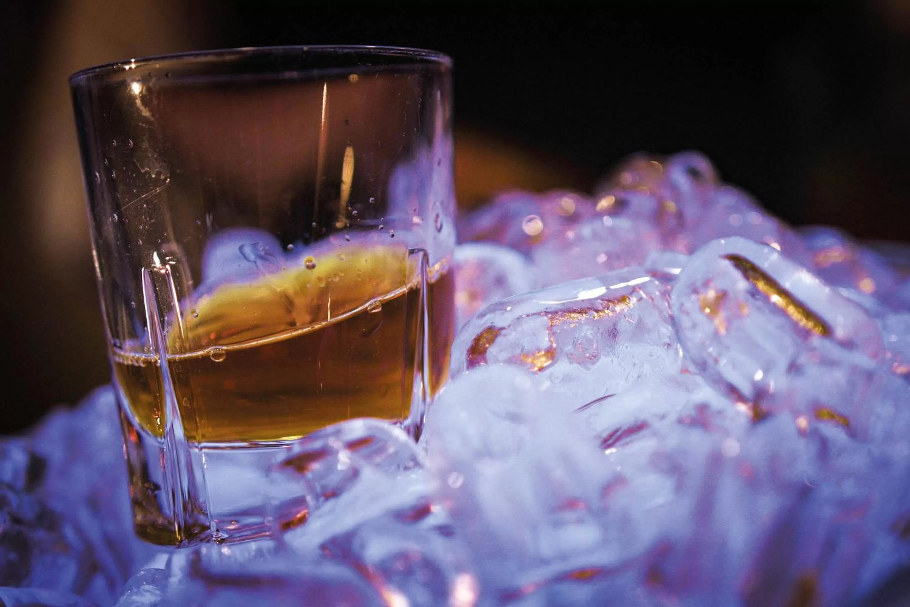 Lounge or bar in Seminaris Avendi Hotel Potsdam