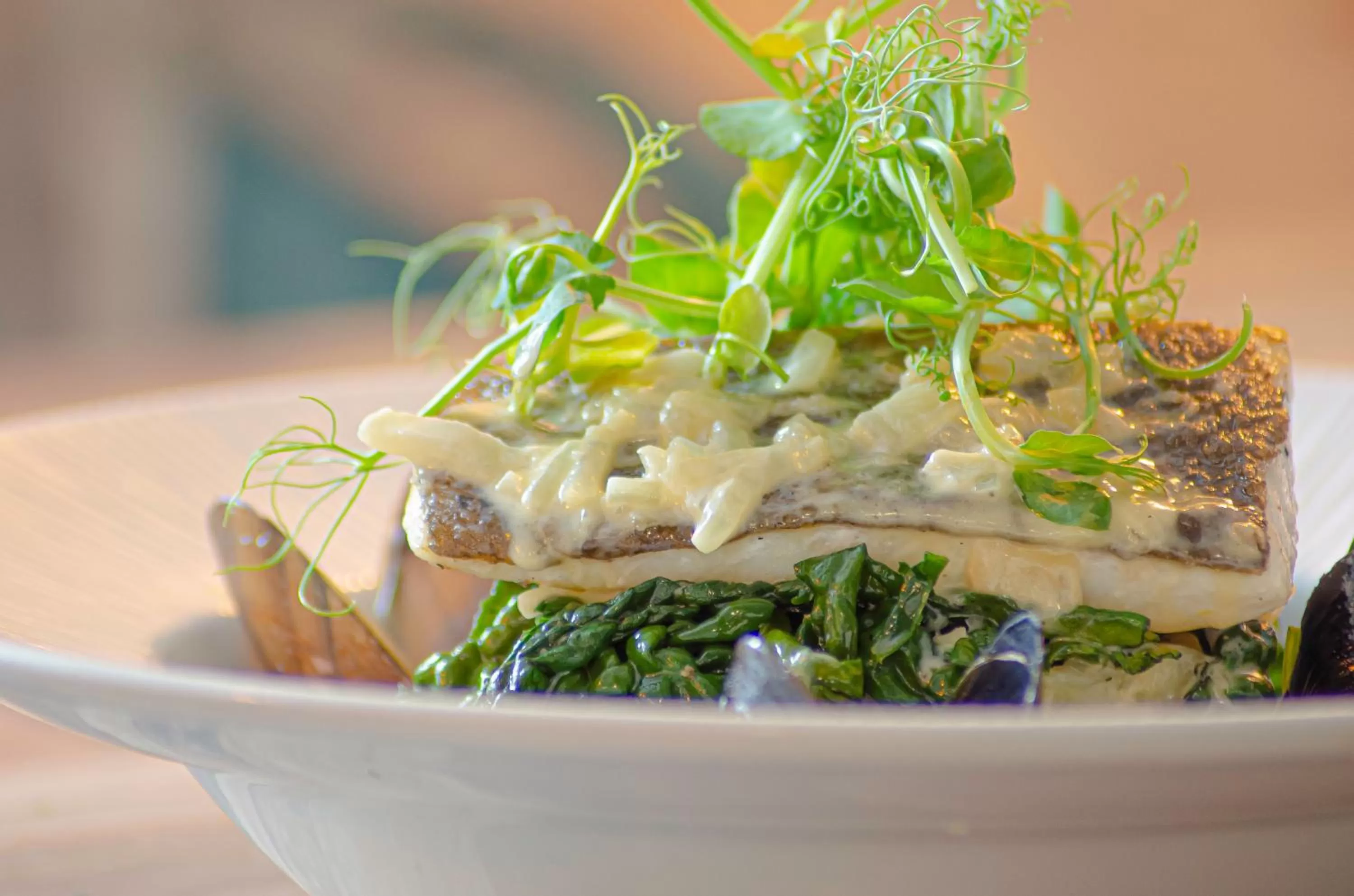 Food and drinks in Molesworth Arms