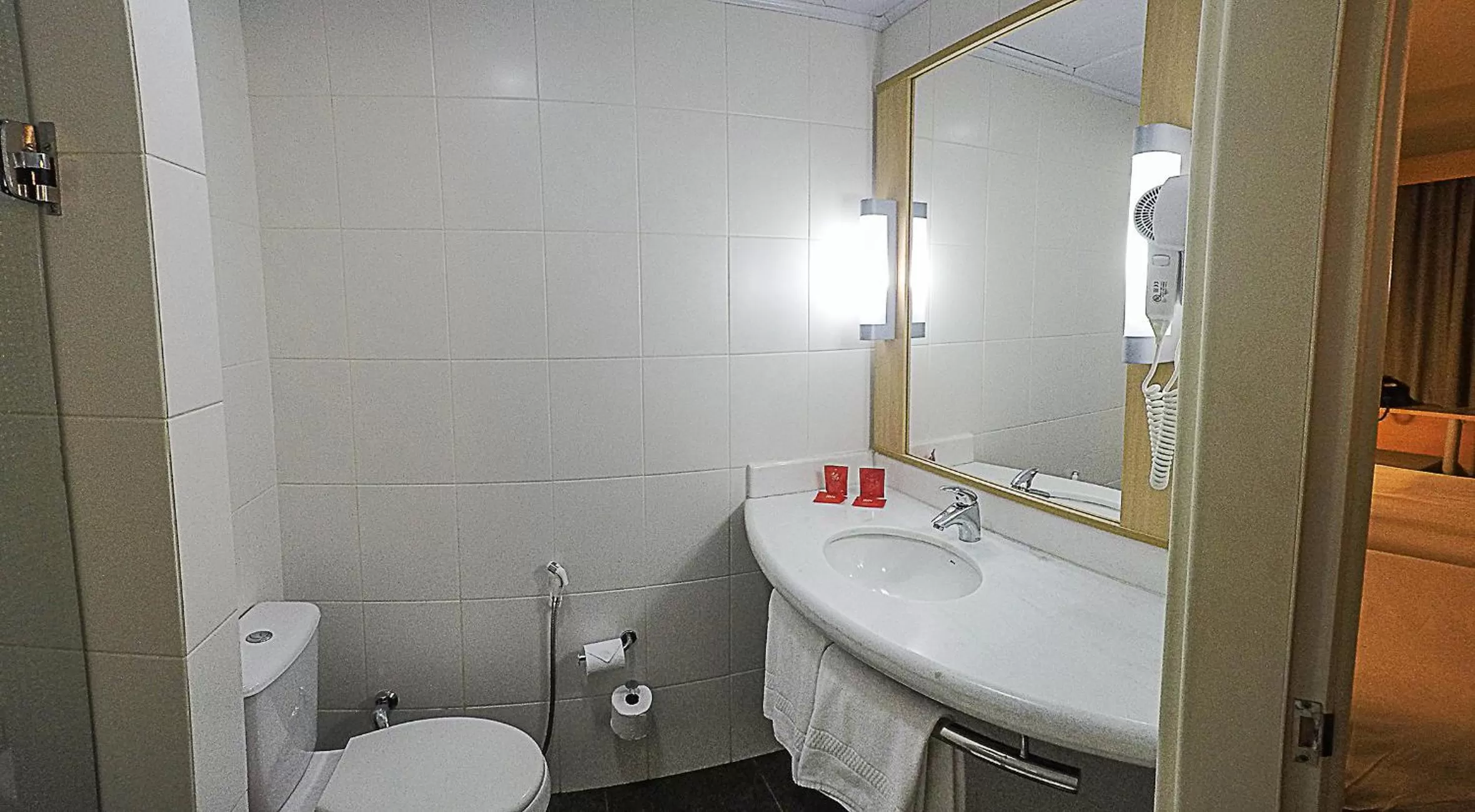 Toilet in ibis Montenegro