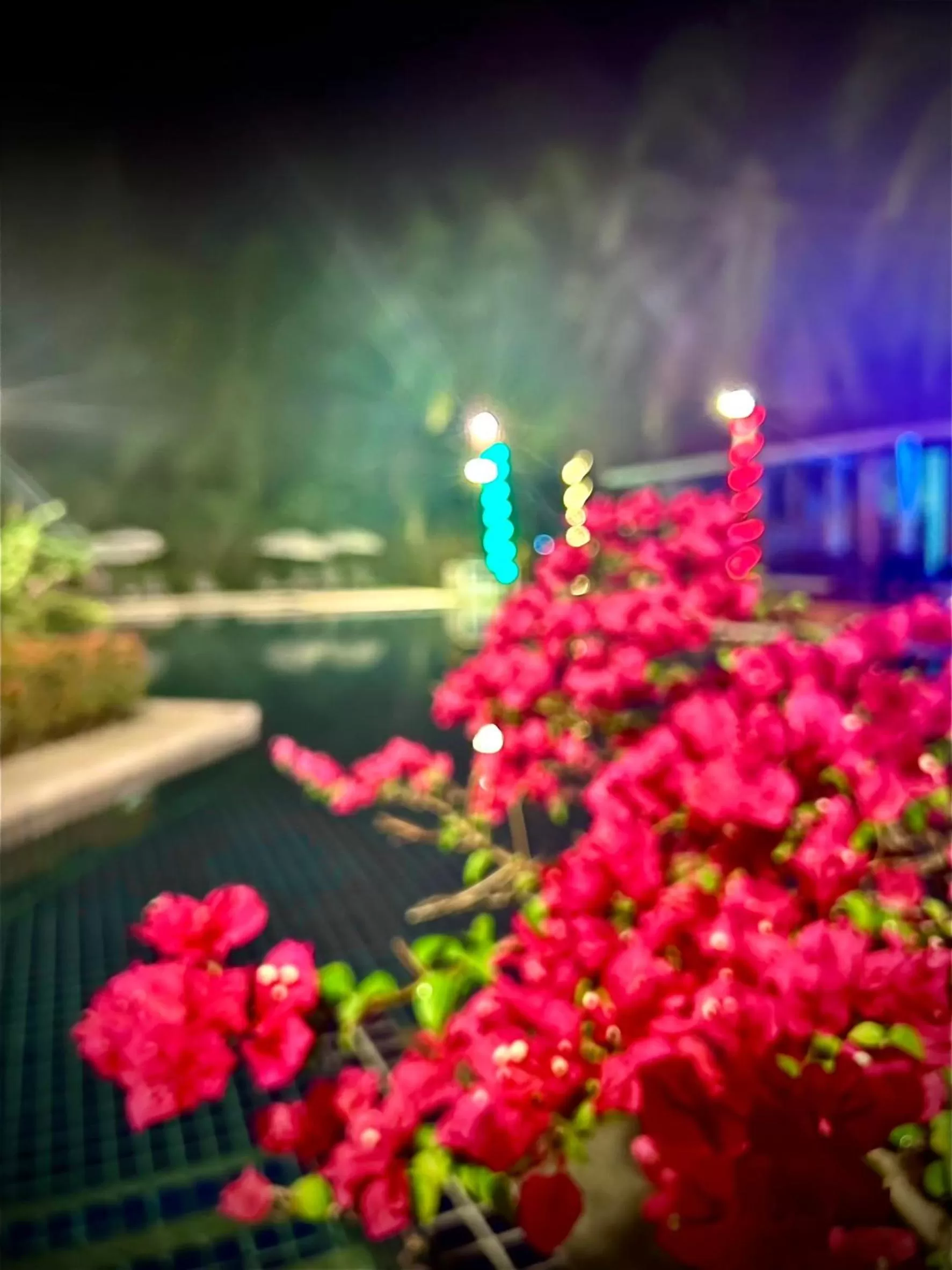 Swimming pool in Palm Galleria Resort