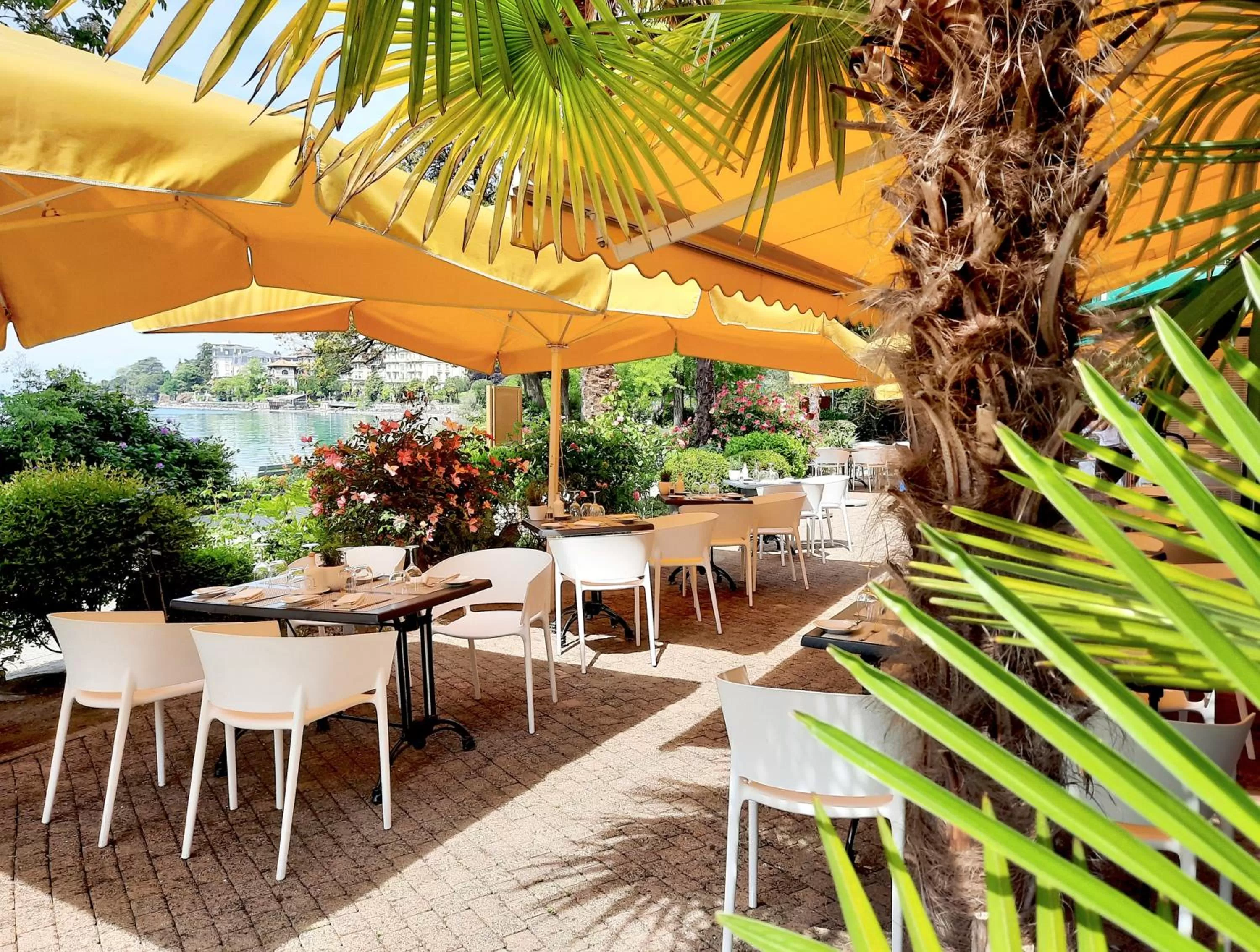 Restaurant/places to eat in Royal Plaza Montreux