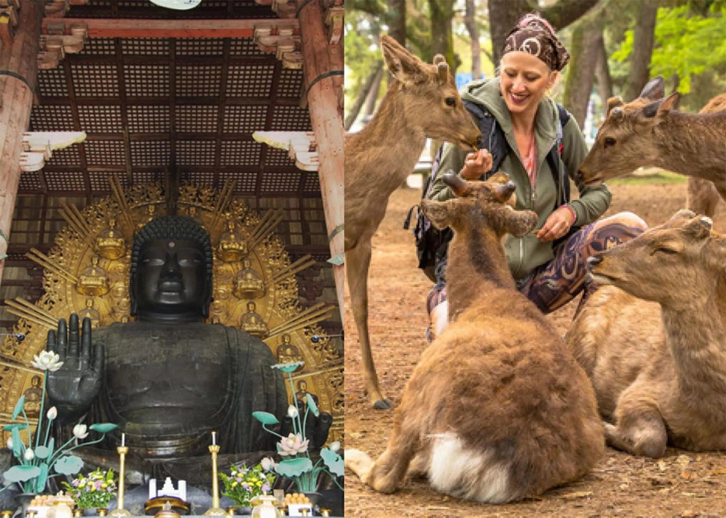 Nearby landmark in Hotel CoCoDe Plus