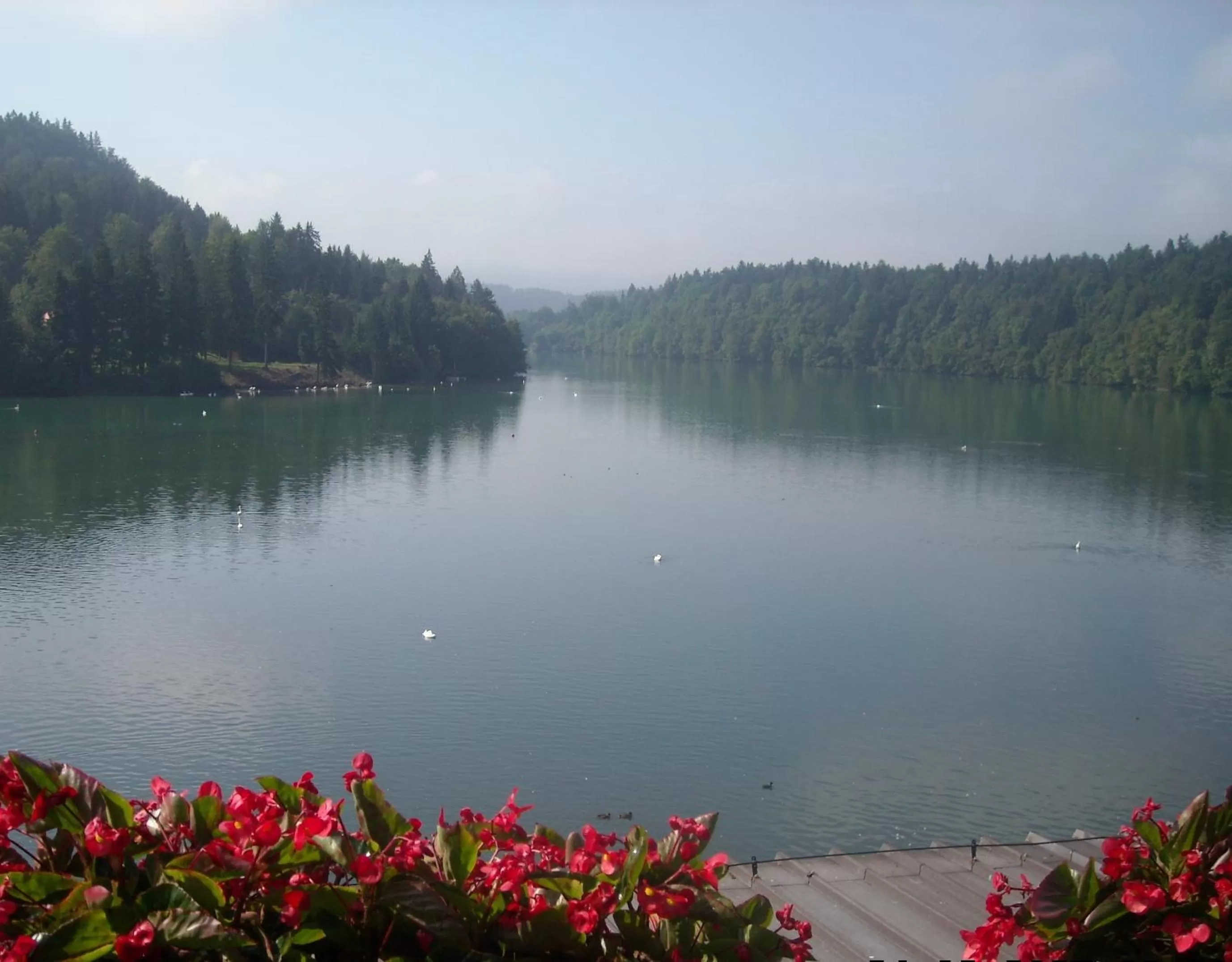 View (from property/room), River View in Gostisce Jezero