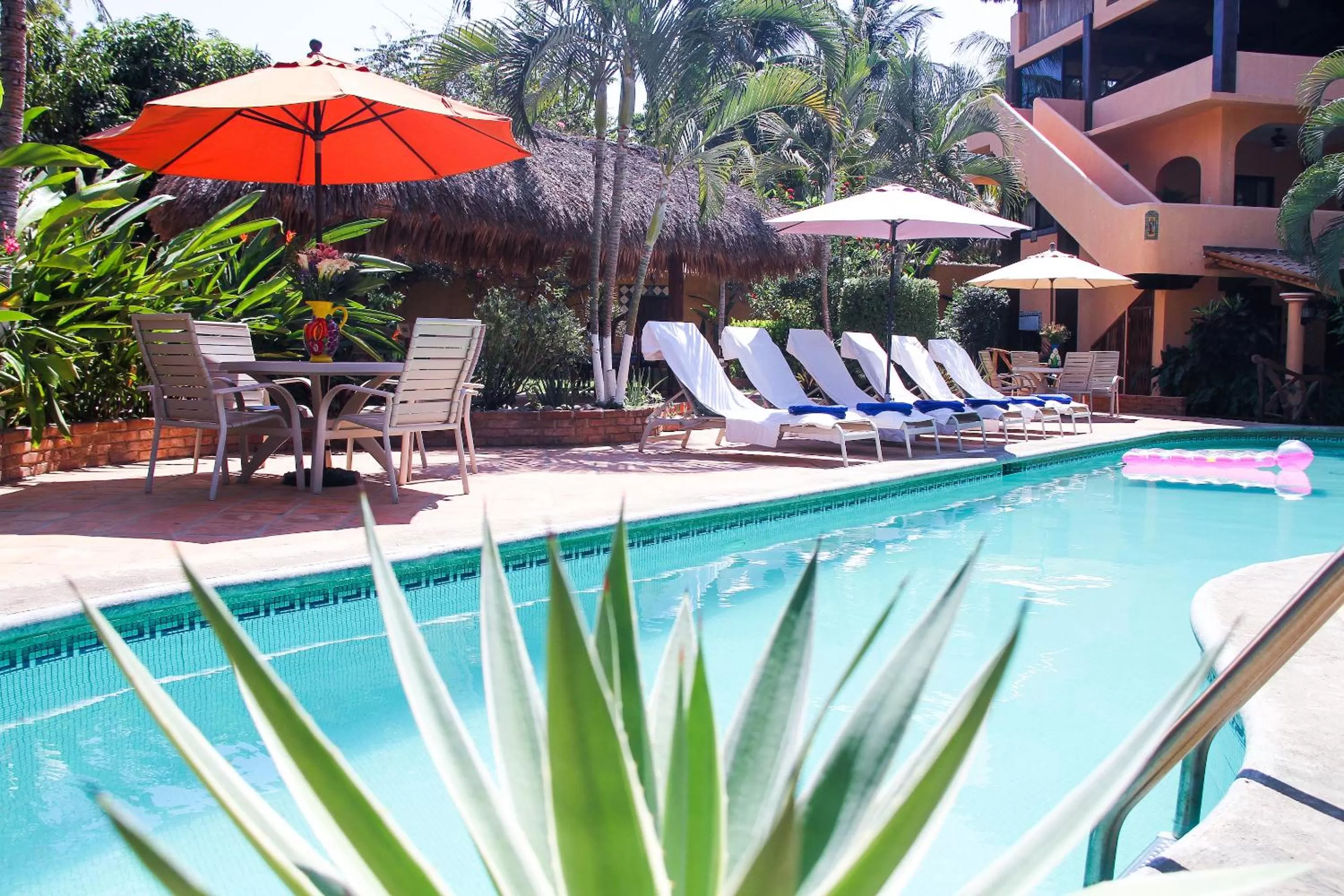 Swimming pool in Hotel Casamar Suites