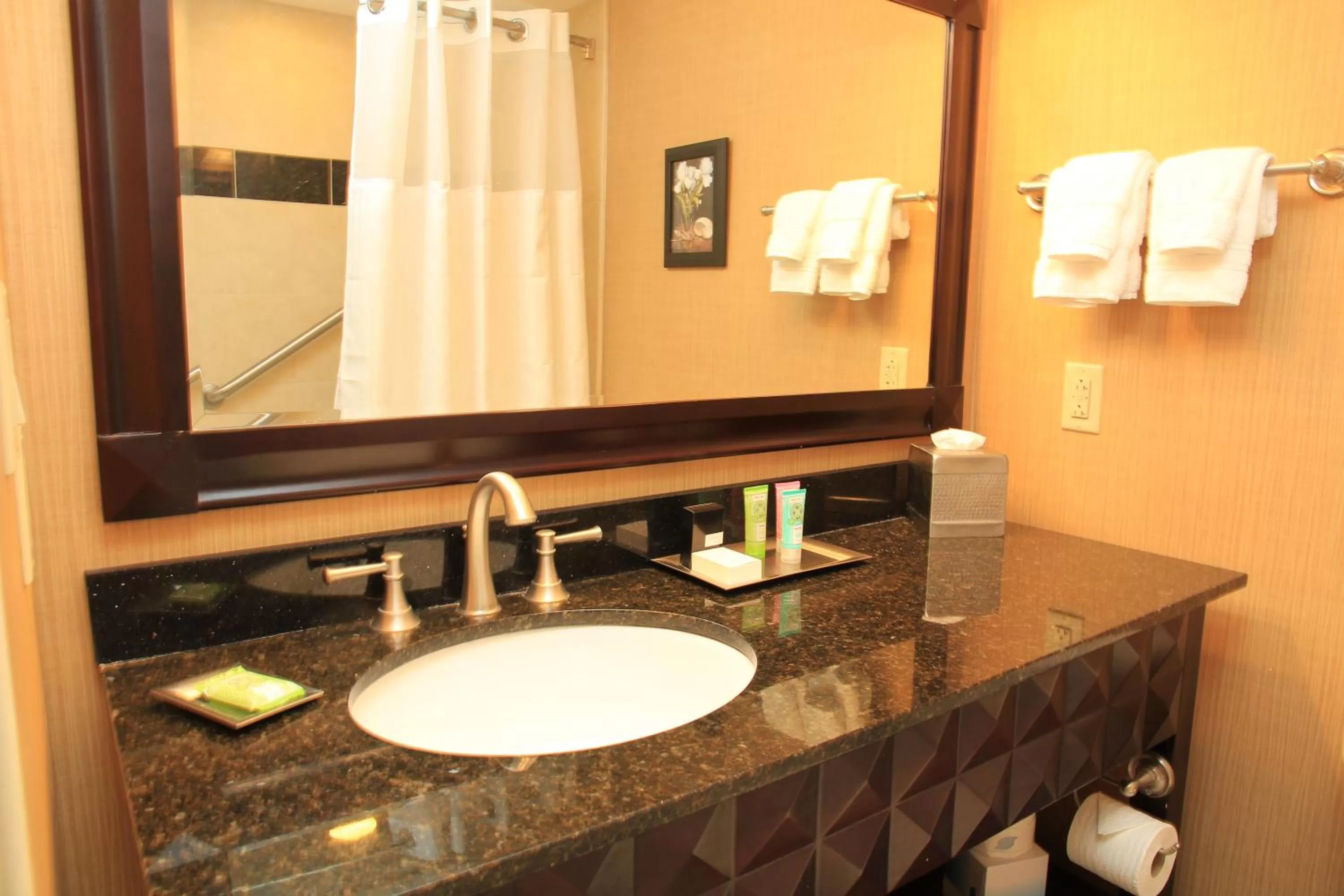 Bathroom in Wyndham Grand Pittsburgh