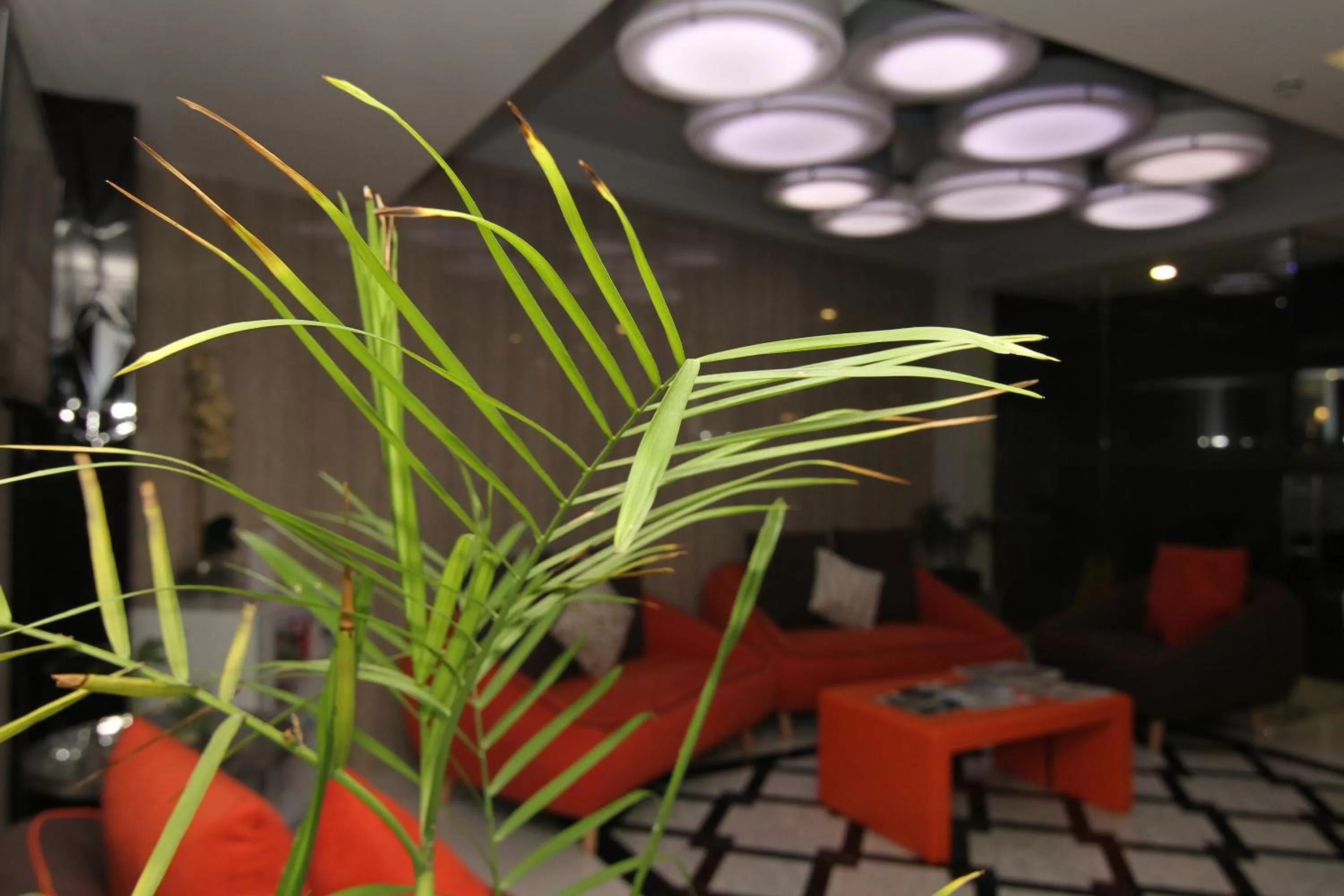 Lobby or reception in Eloisa Royal Suites