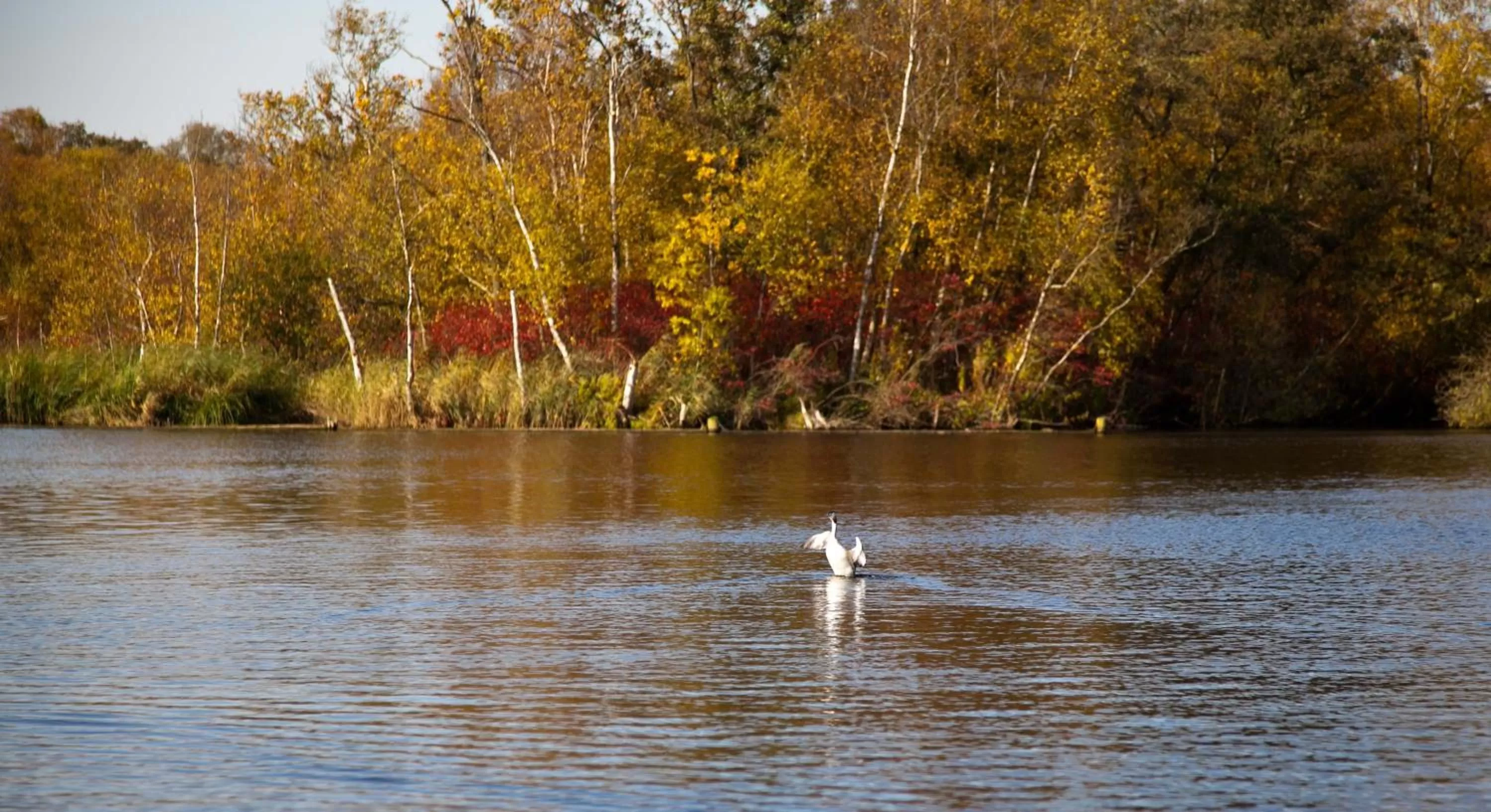 Area and facilities in Boutique Hotel Chariot - Amsterdam Schiphol Airport