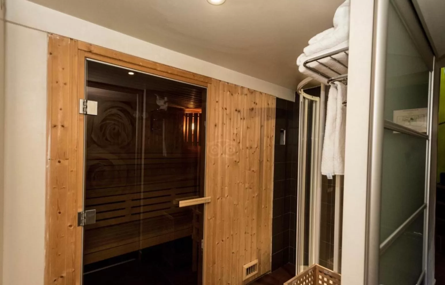 Sauna in Hôtel Le Fabe