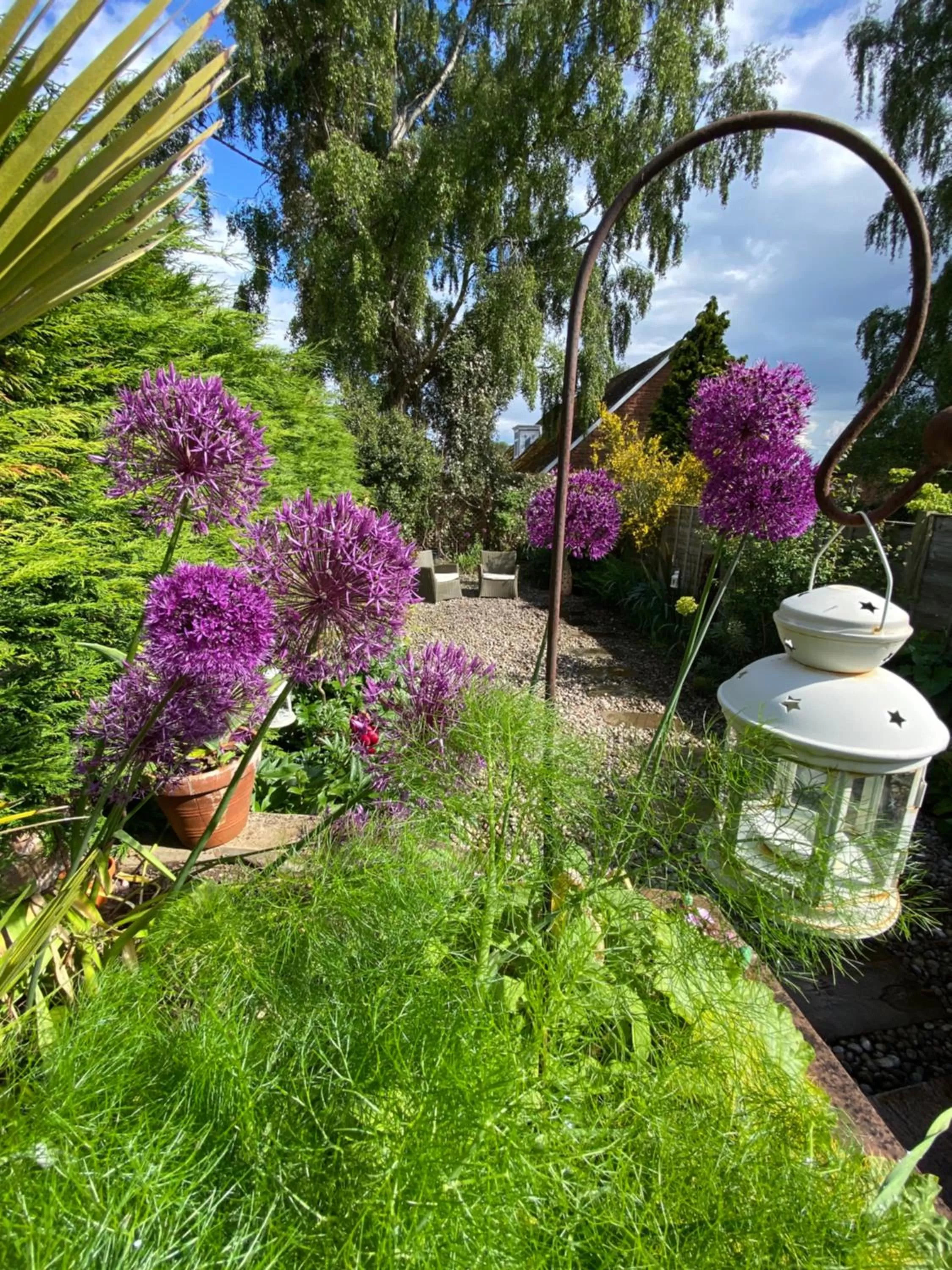 Garden in North View B&B