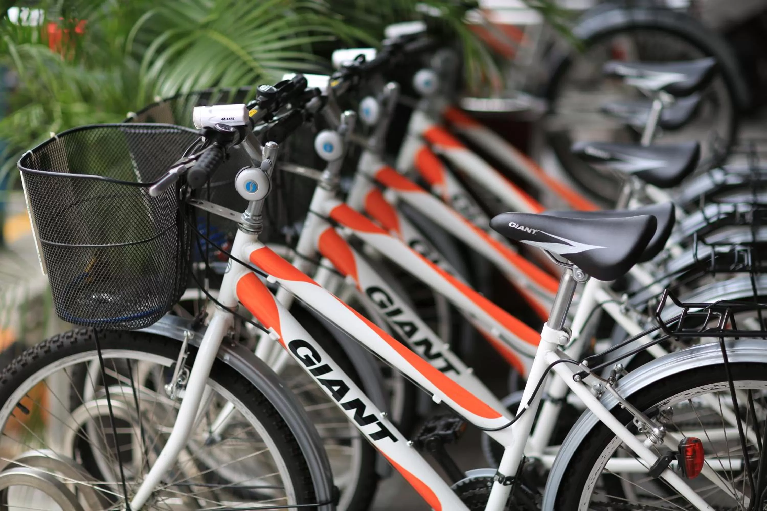 Other in Cambridge Tainan Hotel