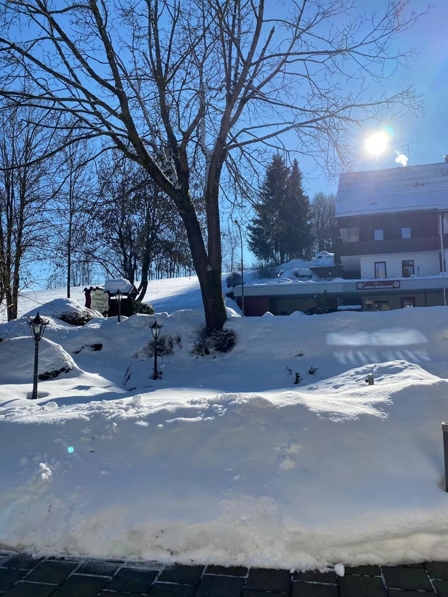 Winter in Hotel Sonnenhof - Superior