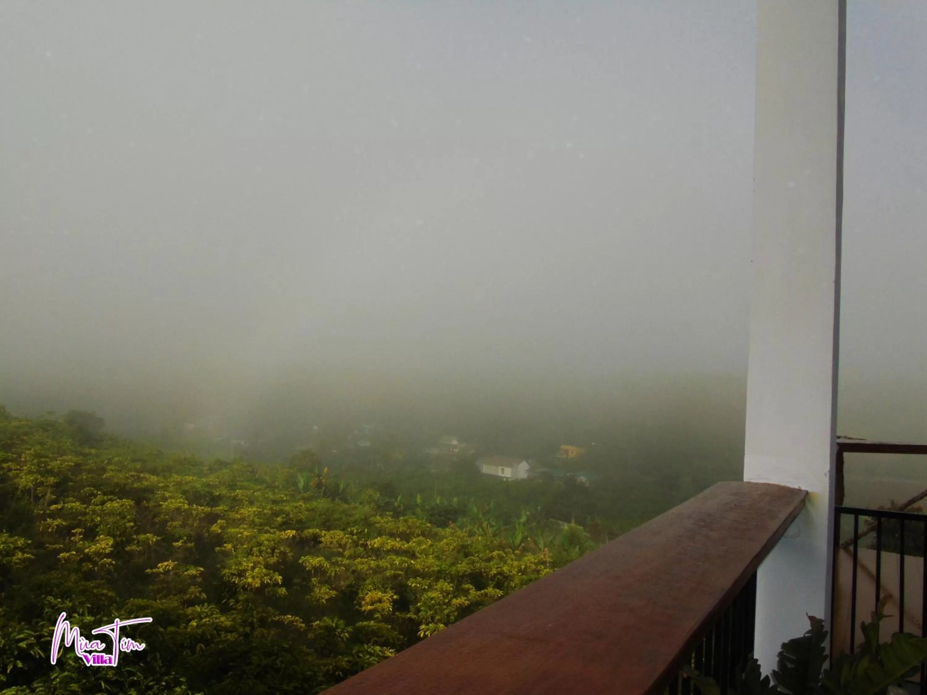 Balcony/Terrace in Mùa Tím Villa