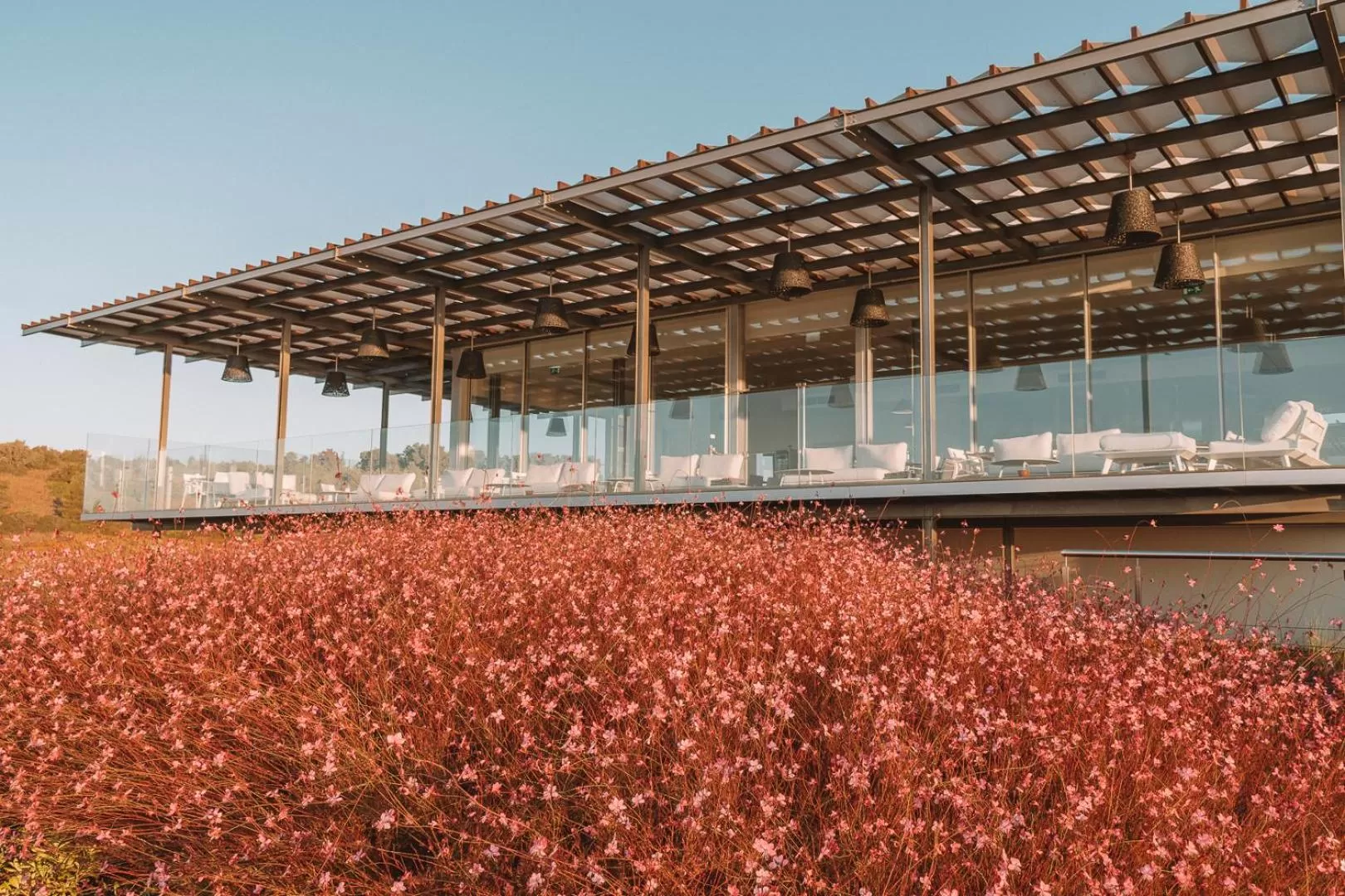Garden in Palmares Beach House Hotel - Adults Only