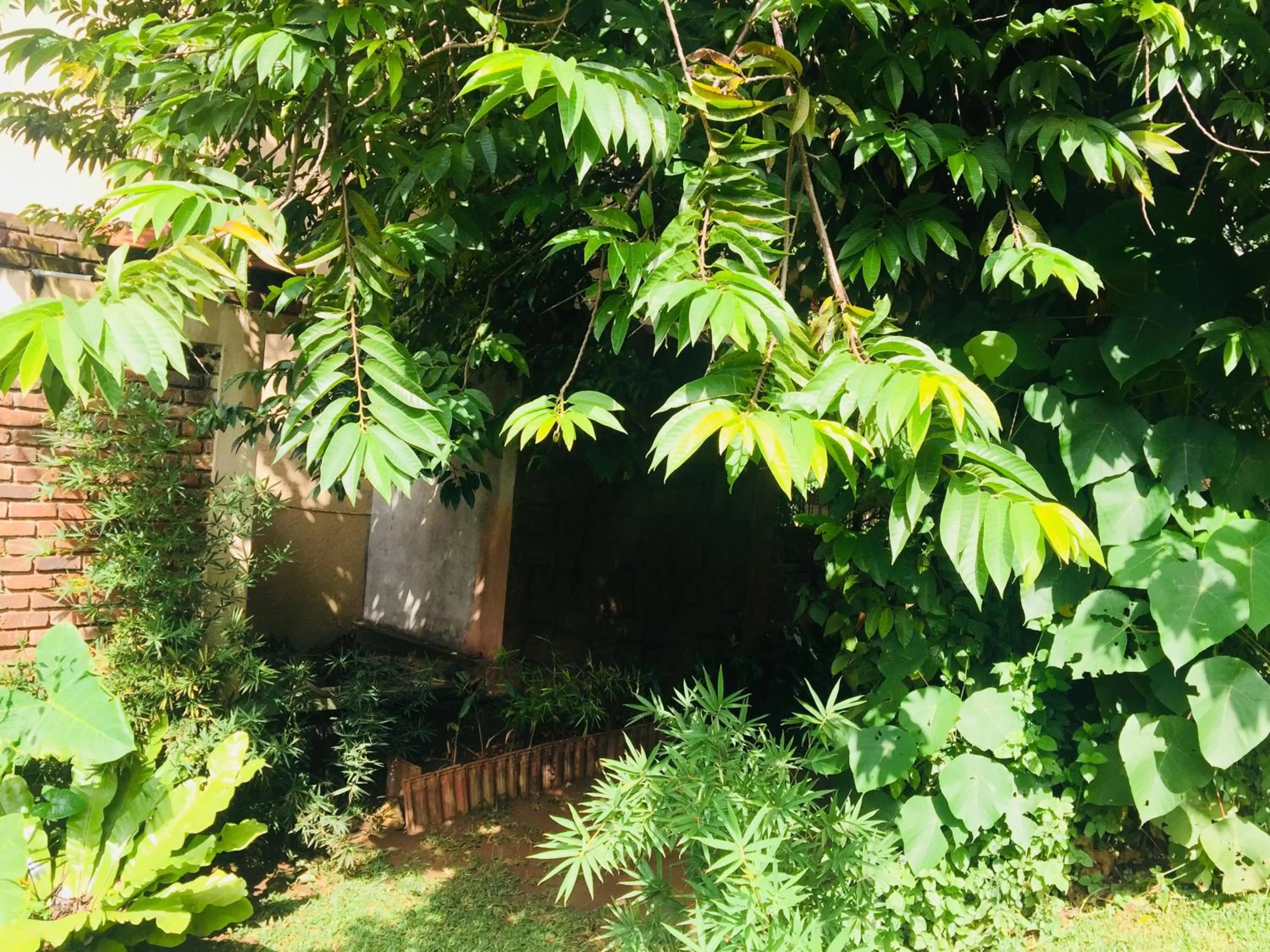 Facade/entrance in Veraima Kandy