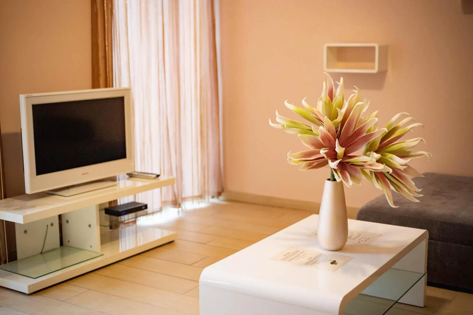 TV/Entertainment Center in Maya Panzio