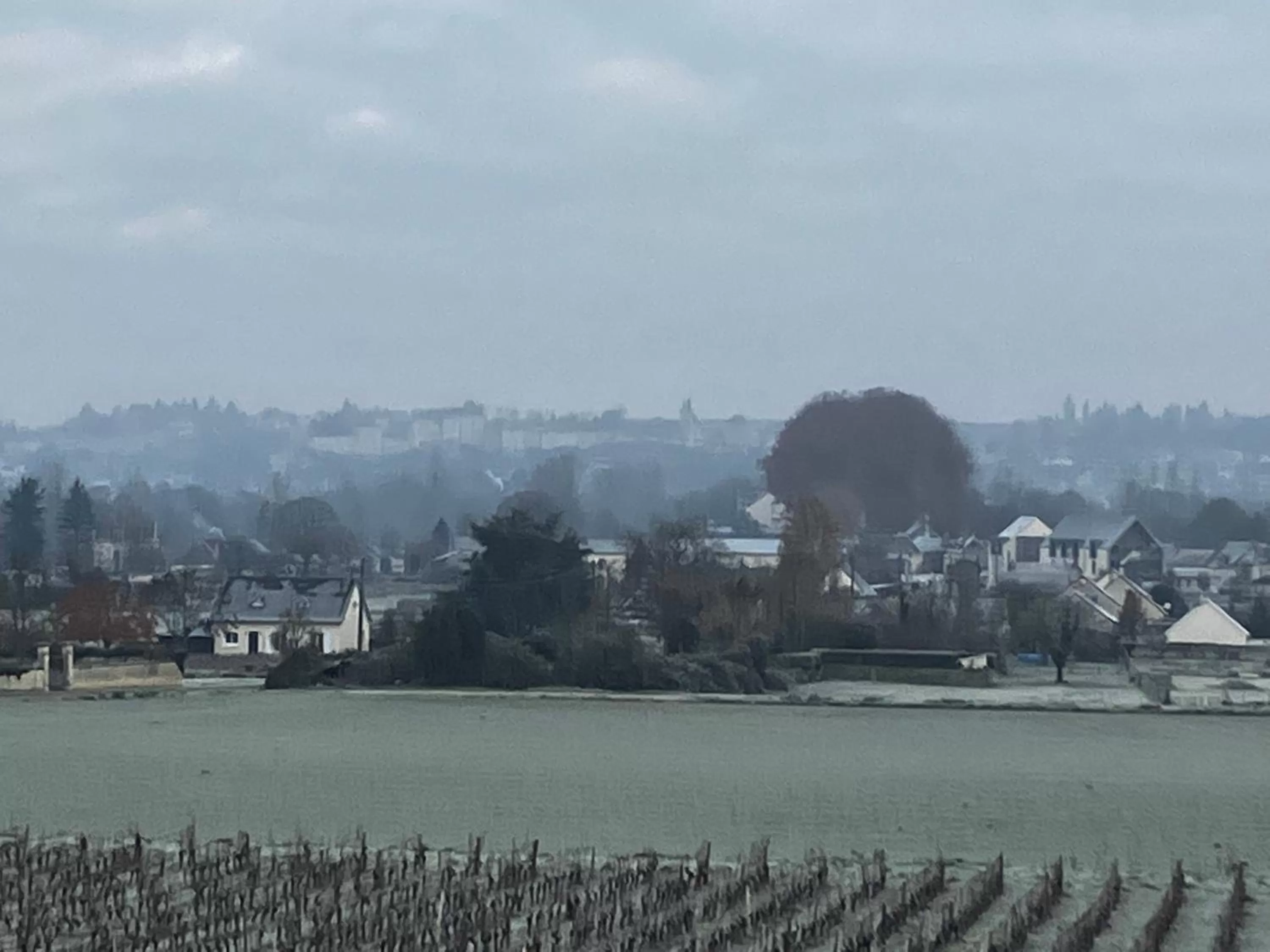 View (from property/room) in La Bonne Note