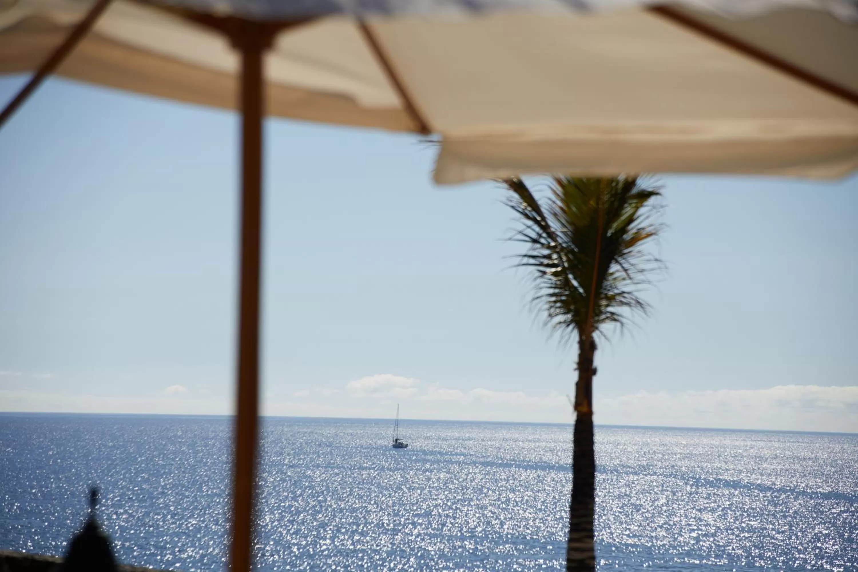 Sea view in Secrets Lanzarote Resort & Spa - Adults Only (+18)