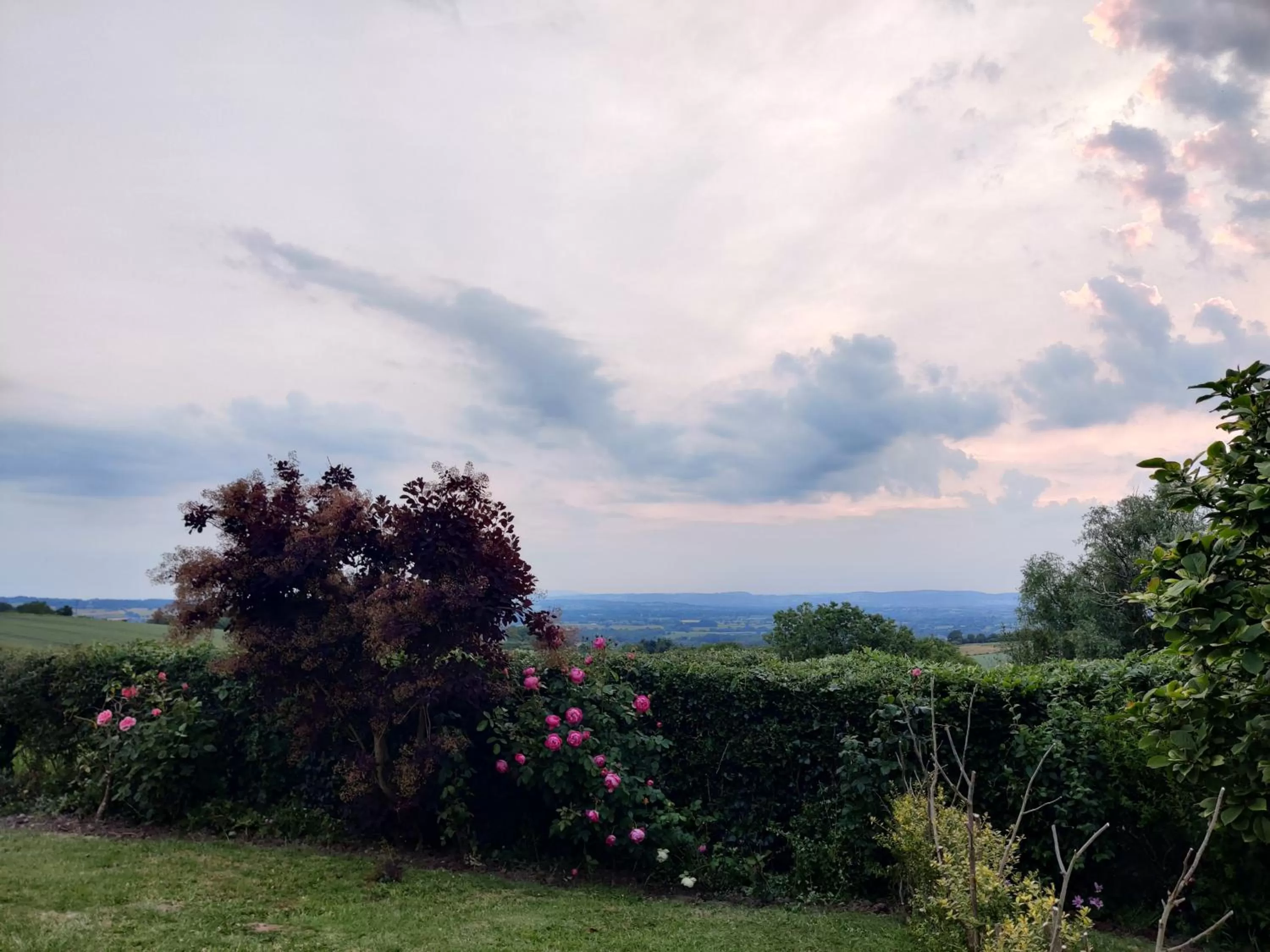 View (from property/room) in Hanley House