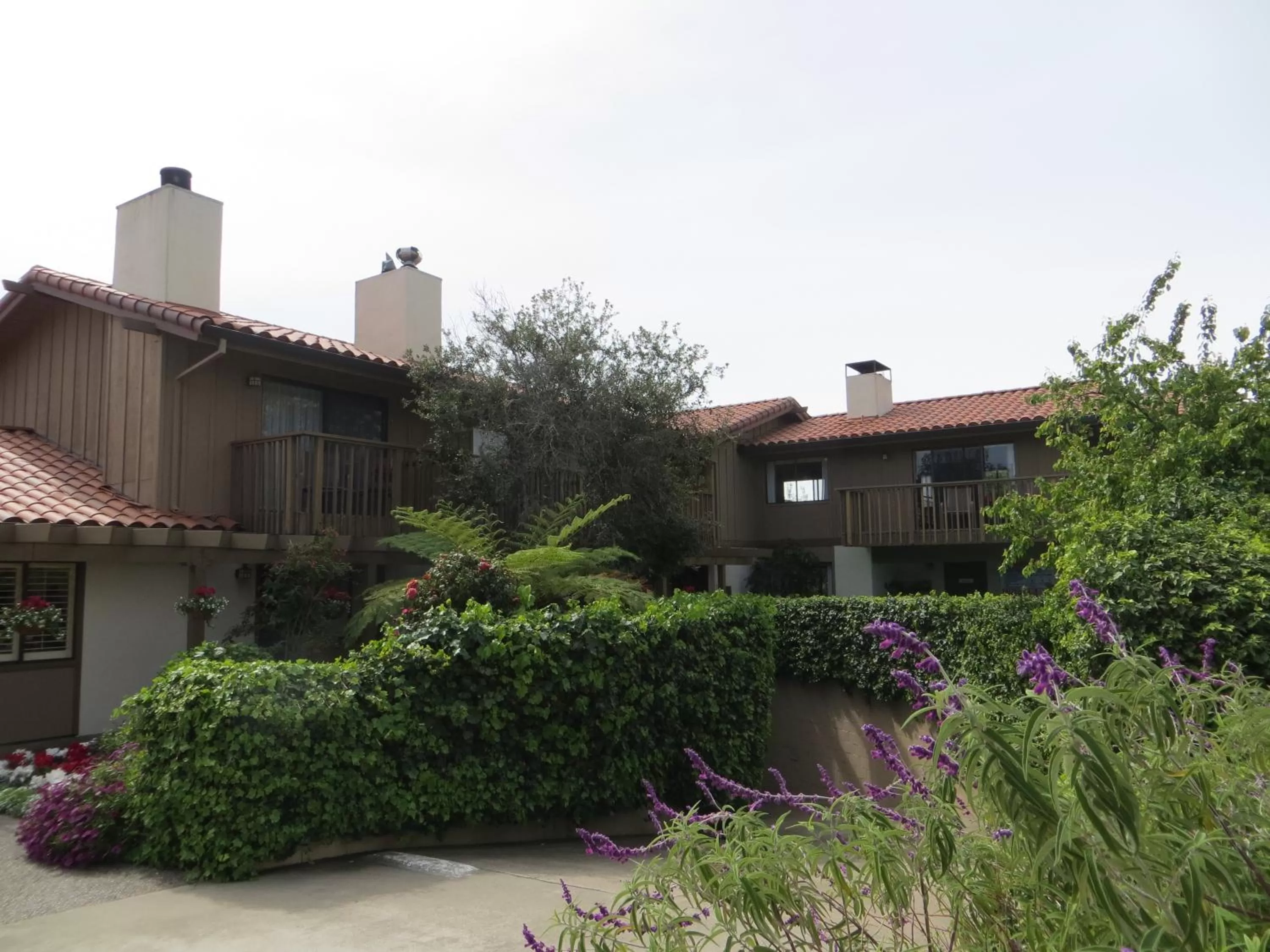 Property building in Adobe Inn