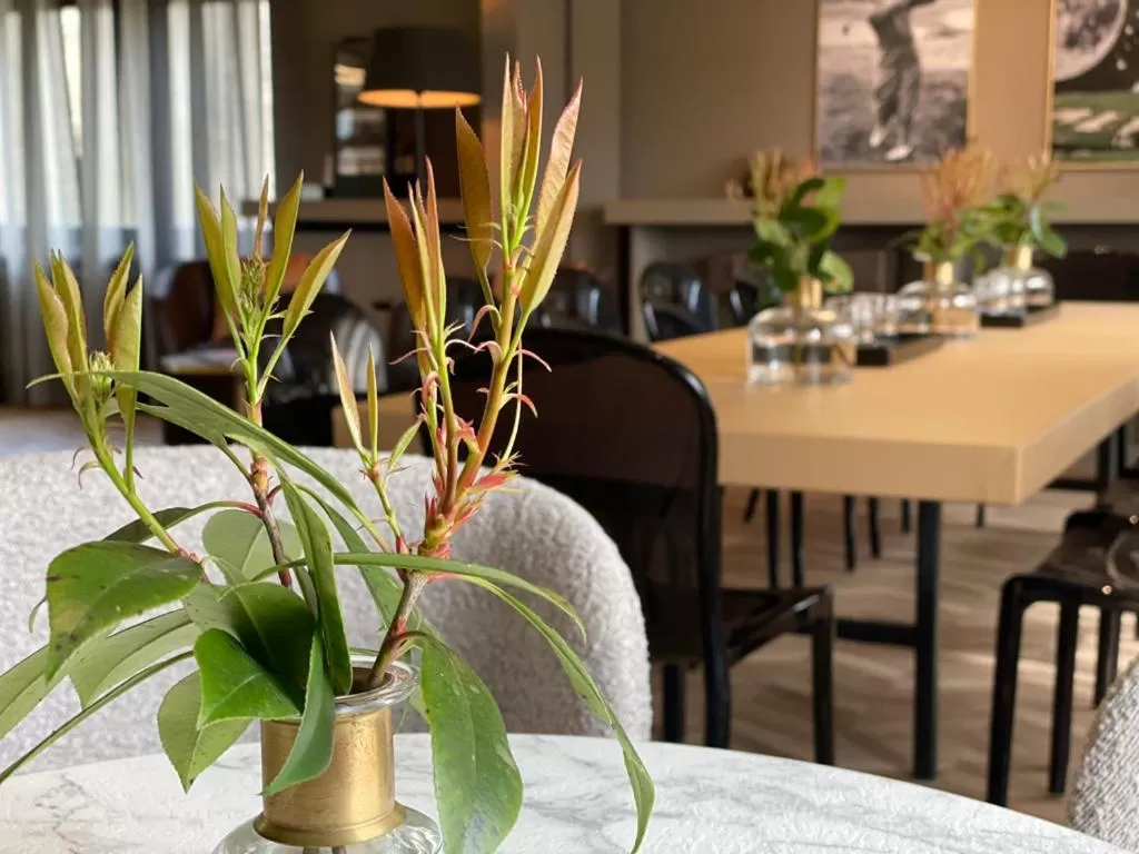 Meeting/conference room in Sapia Hotel Rheinsberg