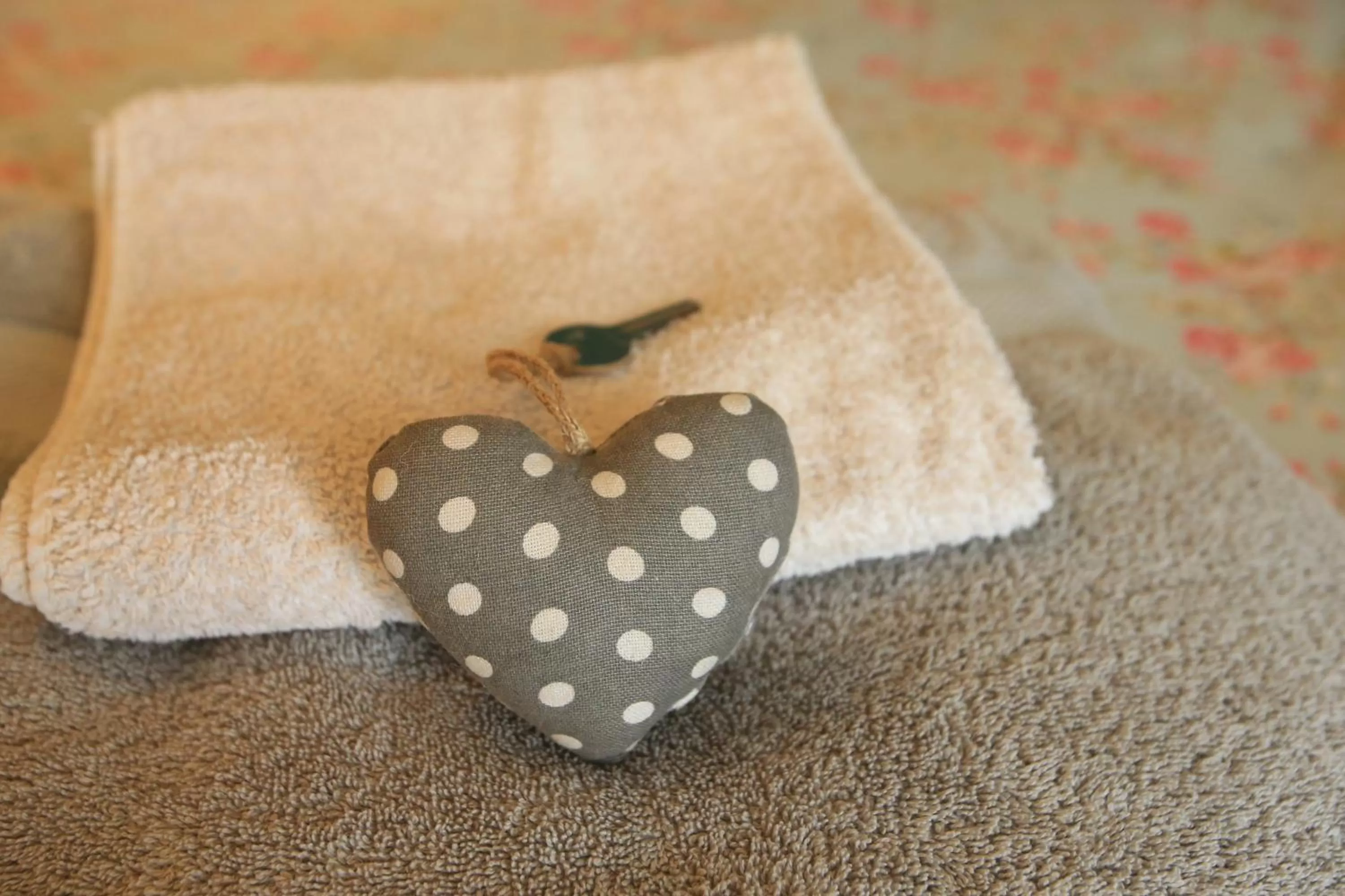 Bed in Chambre d'Hôte à Douarnenez