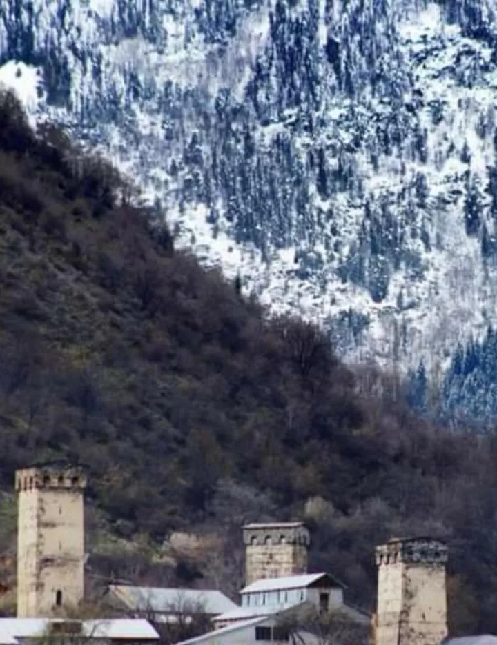 Twin Room in Hotel White Mountains • თეთრი მთები