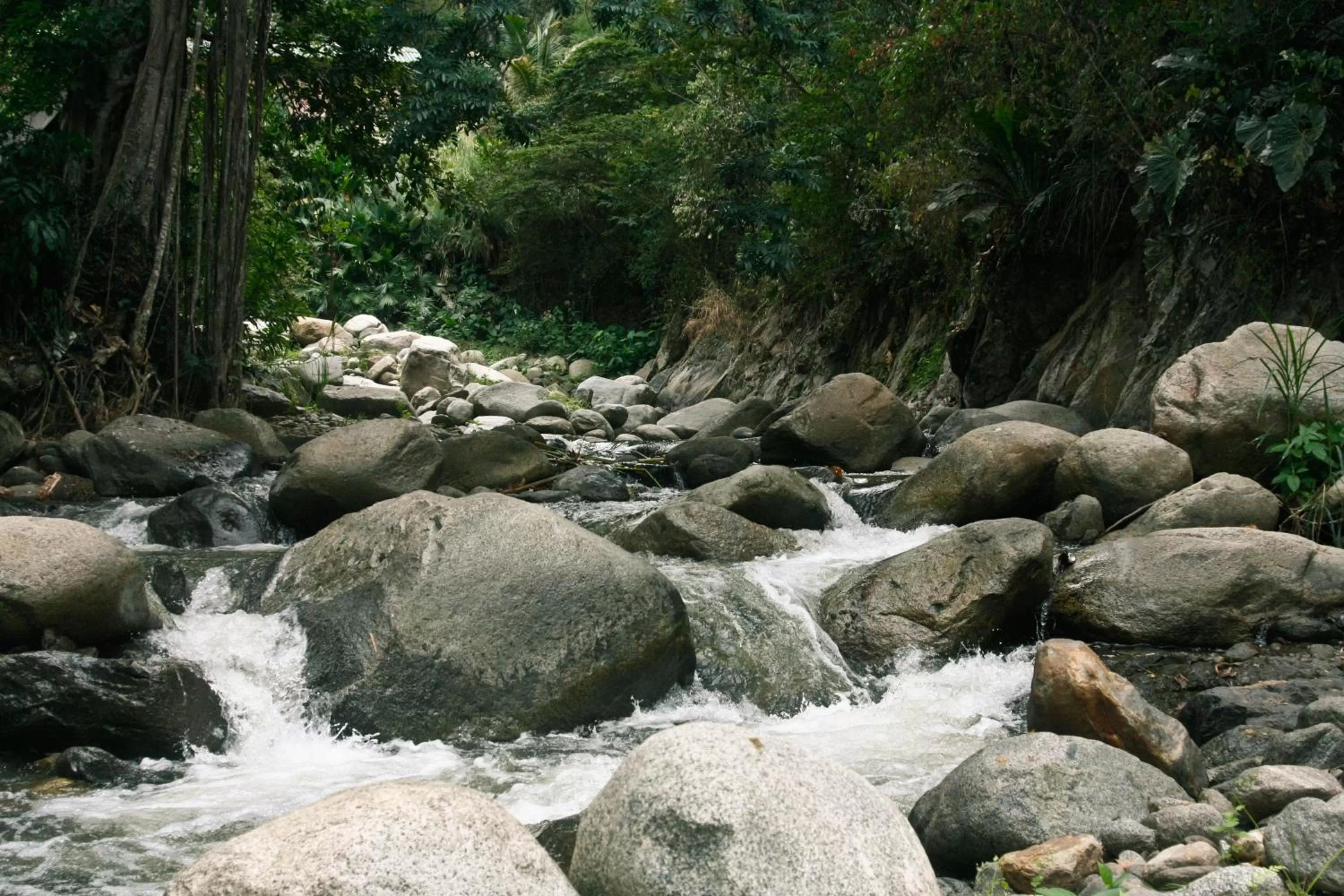 Natural landscape in Rio Escondido