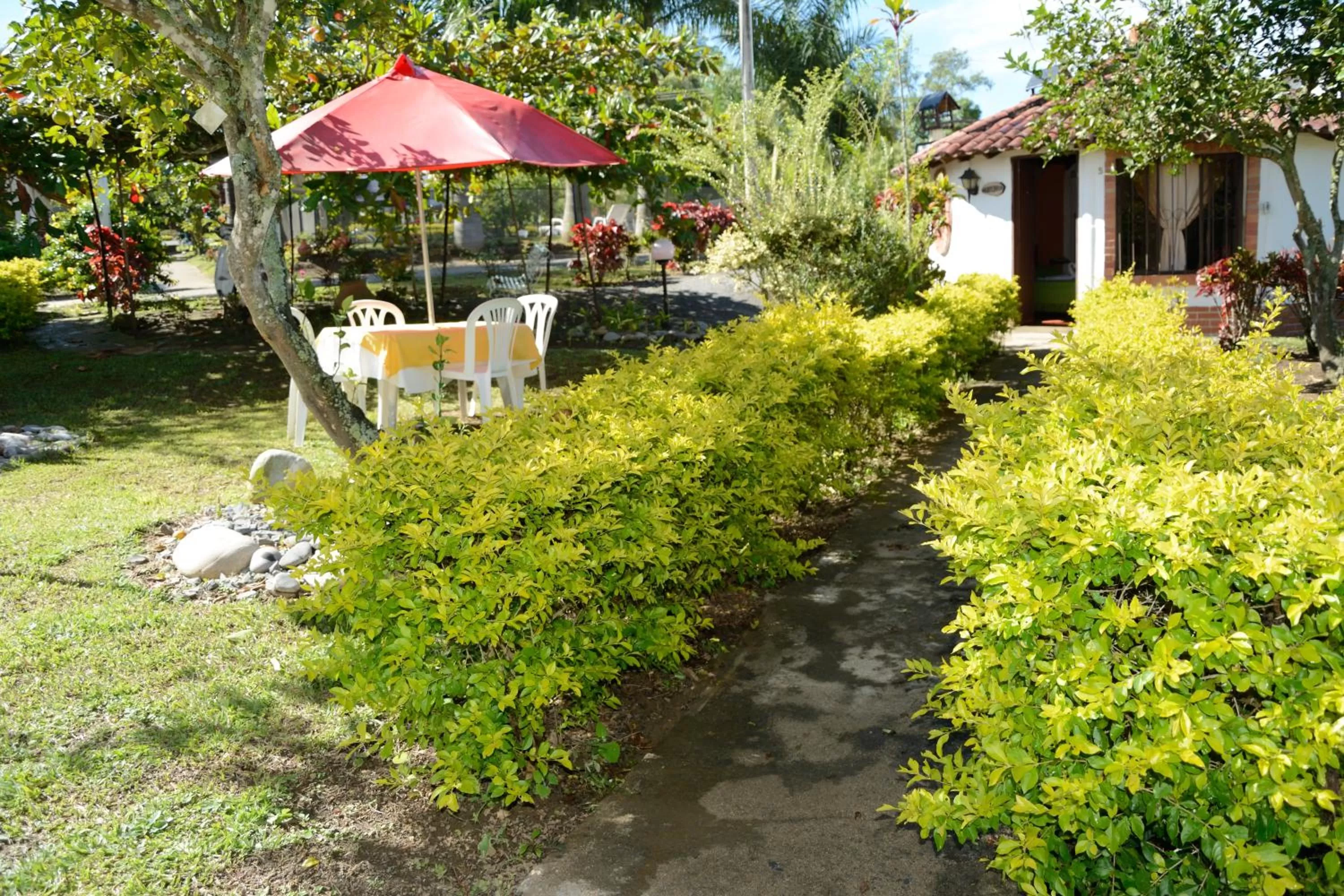 Garden in Hotel Campestre la Loma curiti