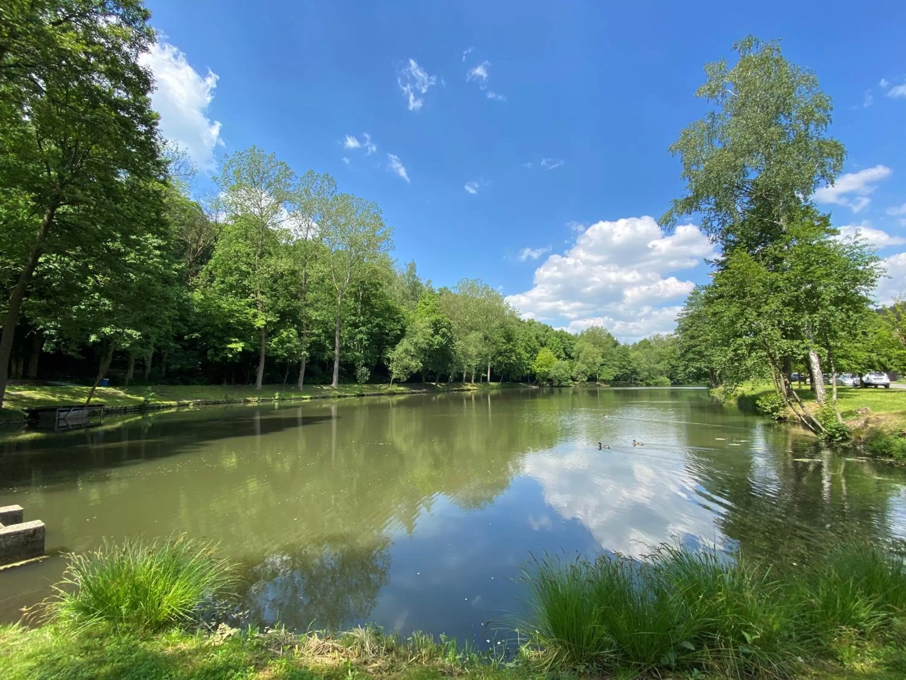 Lake view in Penzion Stodola