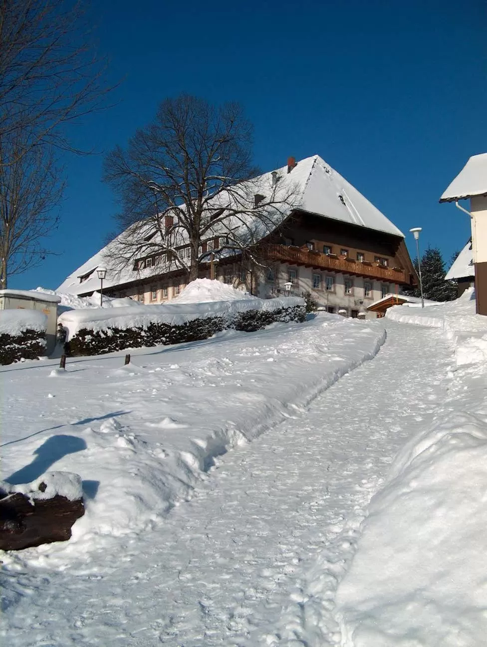 Property building in ZUR TRAUBE Schwarzwaldhotel & Restaurant am Titisee