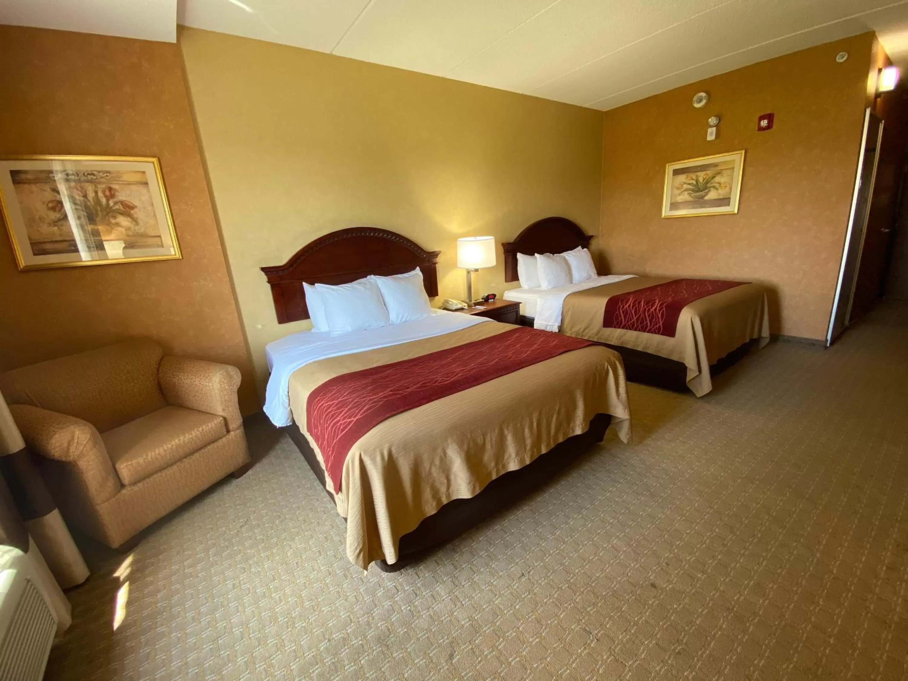 Photo of the whole room, Bed in Quality Inn Near Walden Galleria Mall