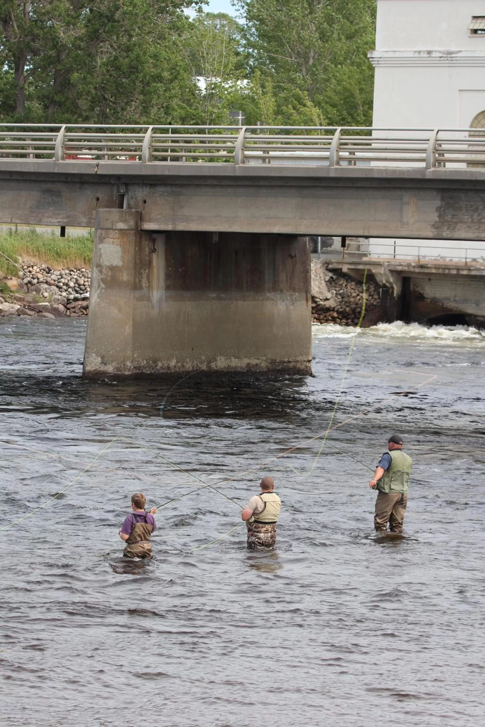 Nearby landmark in Deer Lake Horizon Hotel, BW Signature Collection