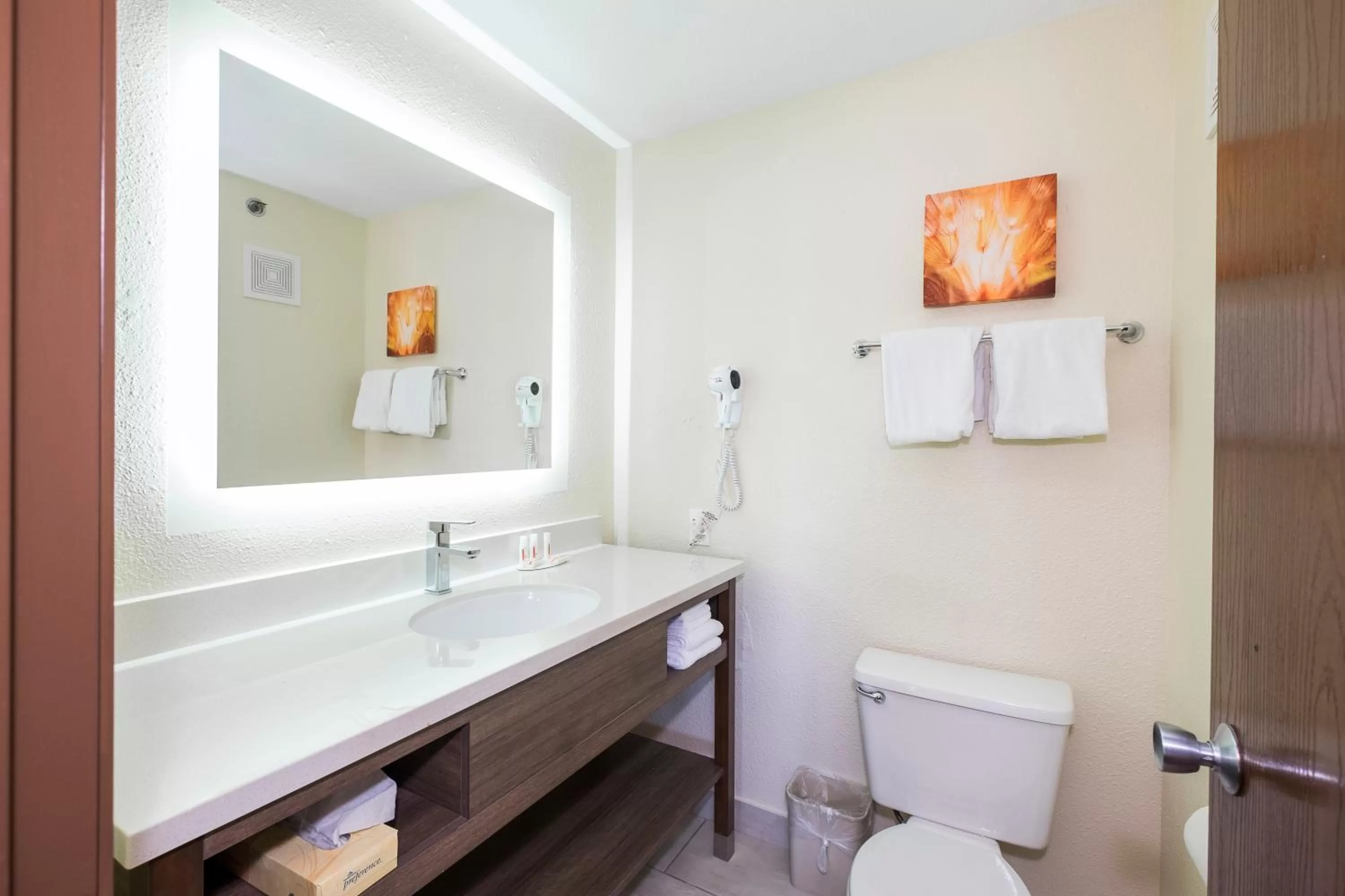 Bathroom in Baymont by Wyndham Chicago/Alsip