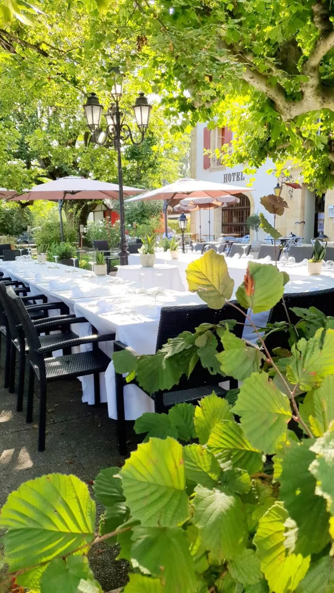 Patio in Hôtel Restaurant Bellevue