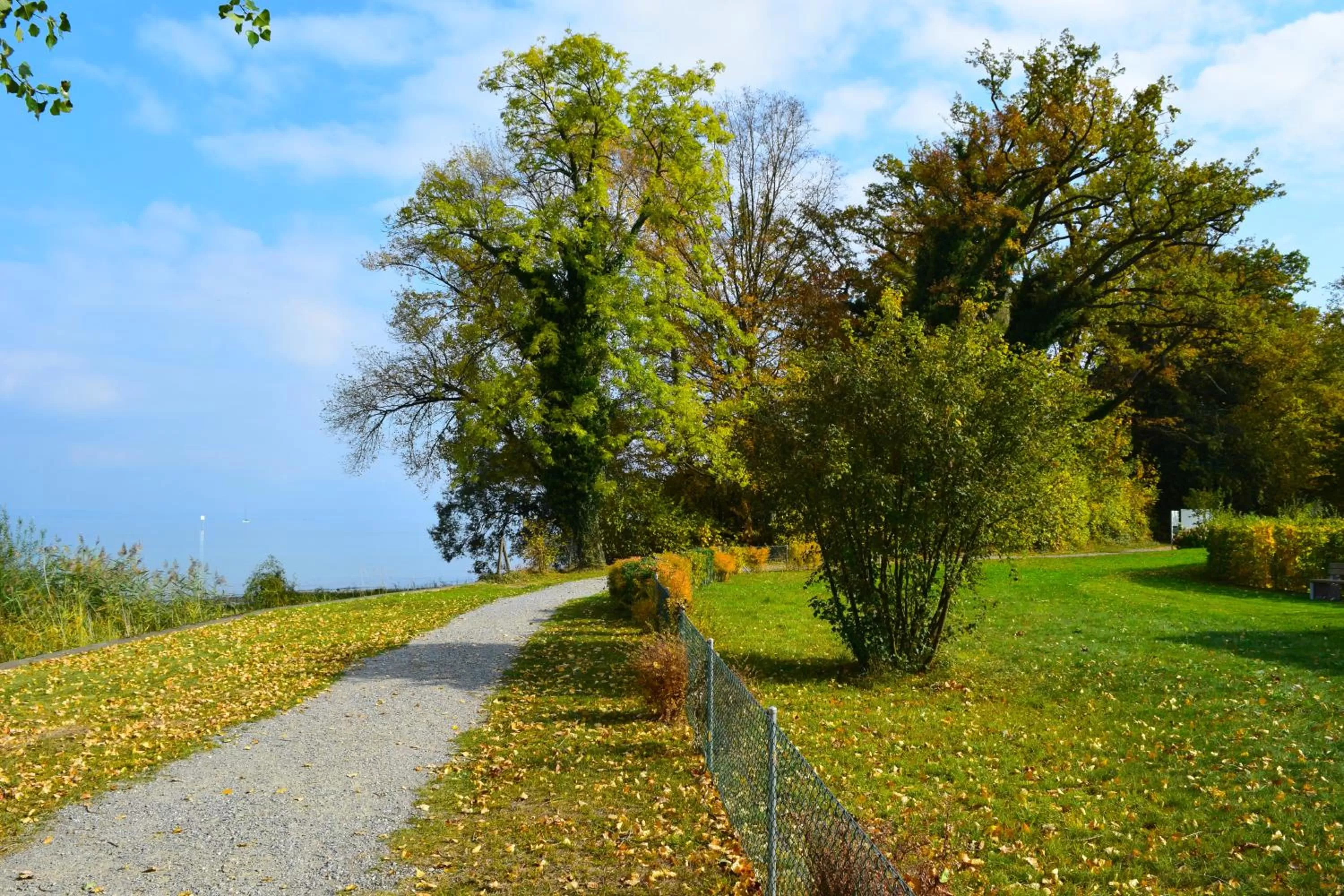 Day in Hotel Restaurant Sokrates