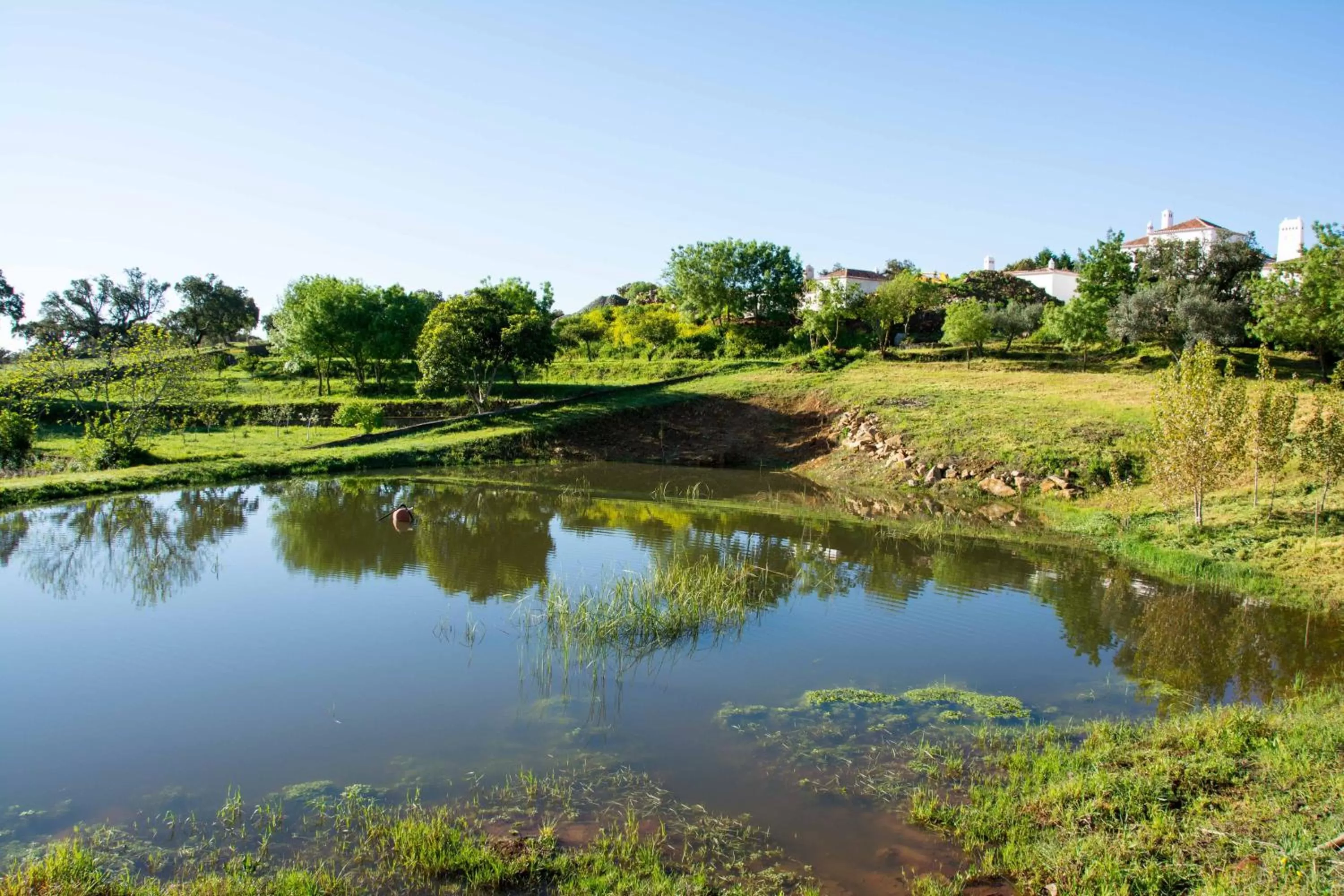 Facade/entrance in Hotel Rural Monte da Provença