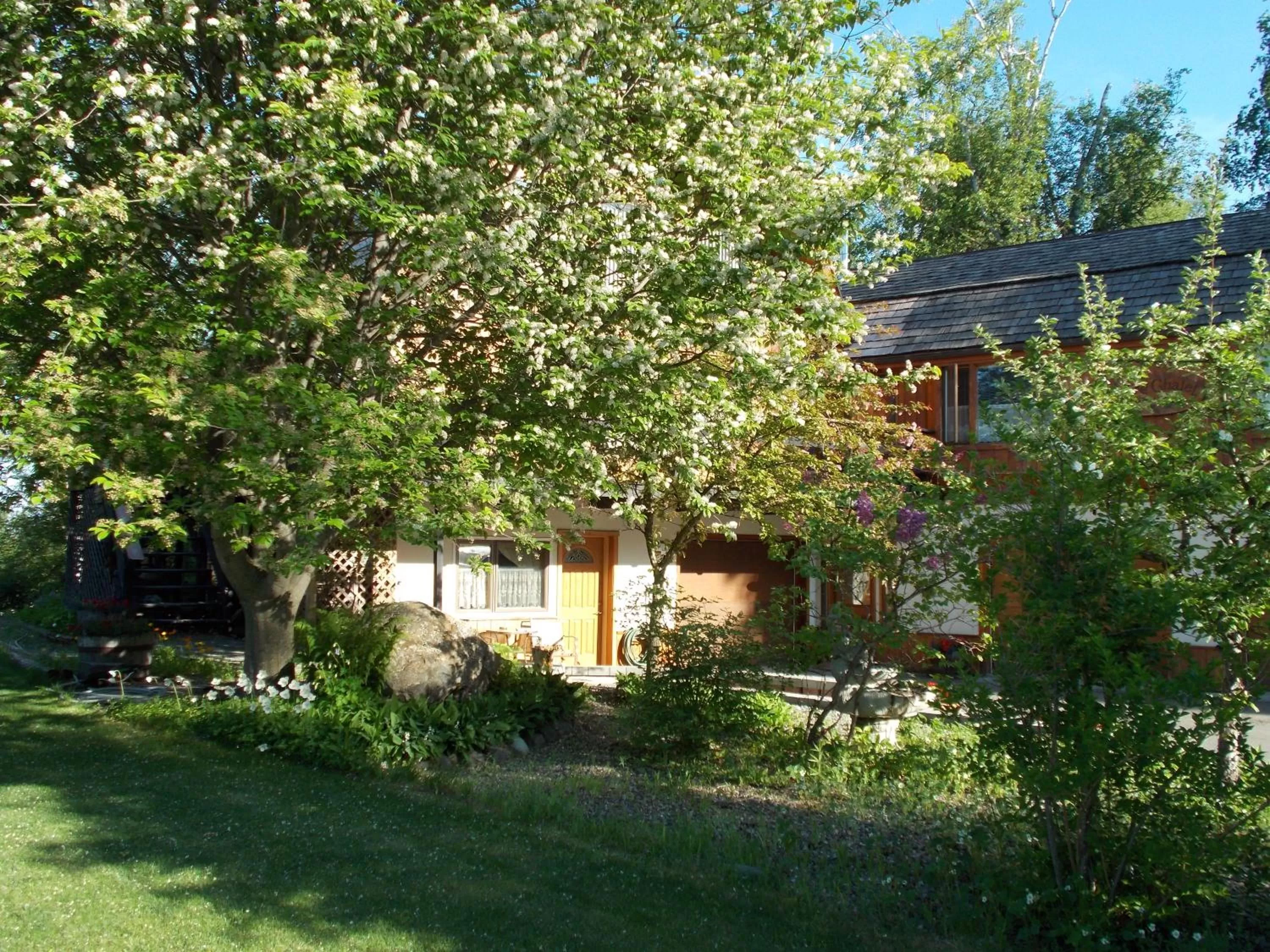 Alaska Chalet Bed & Breakfast