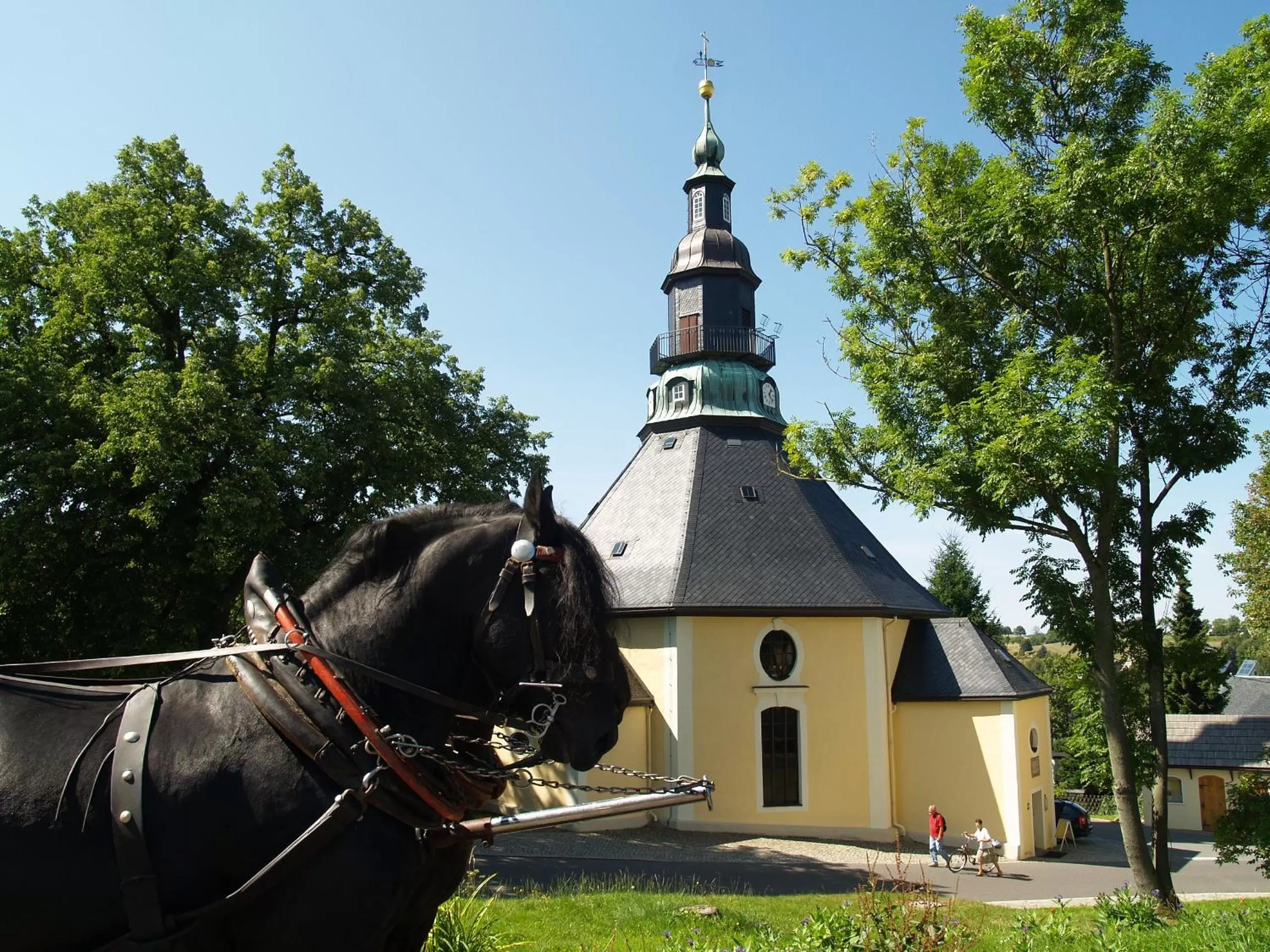 Animals, Other Animals in Waldgasthof Bad Einsiedel