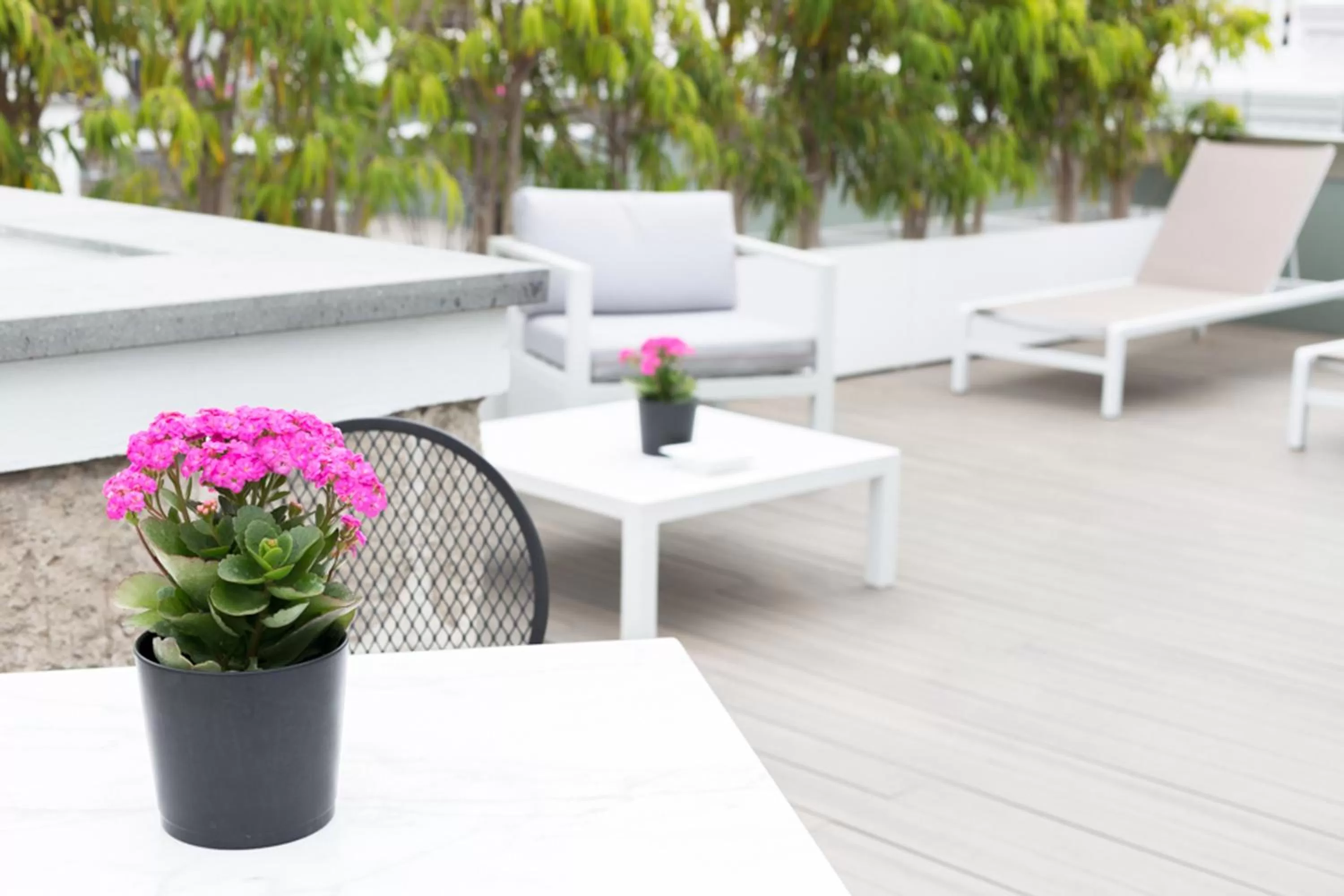 Patio in Suites 1478