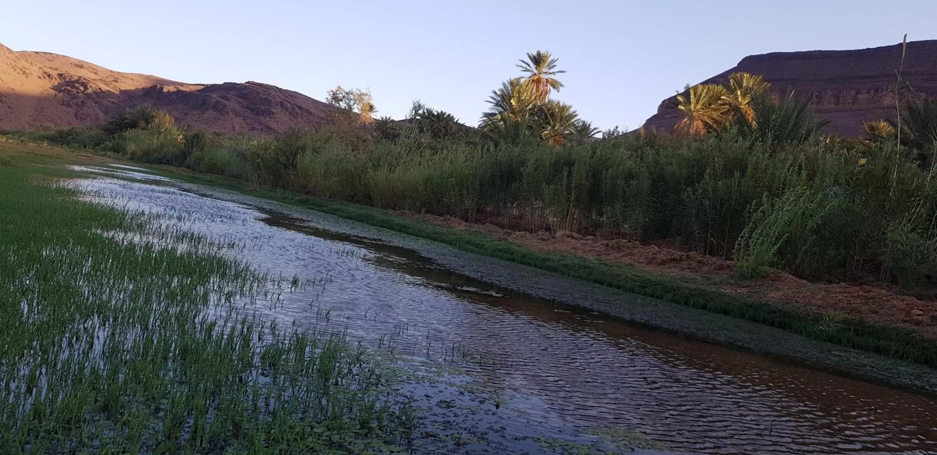 ecolodge bivouac des aigles