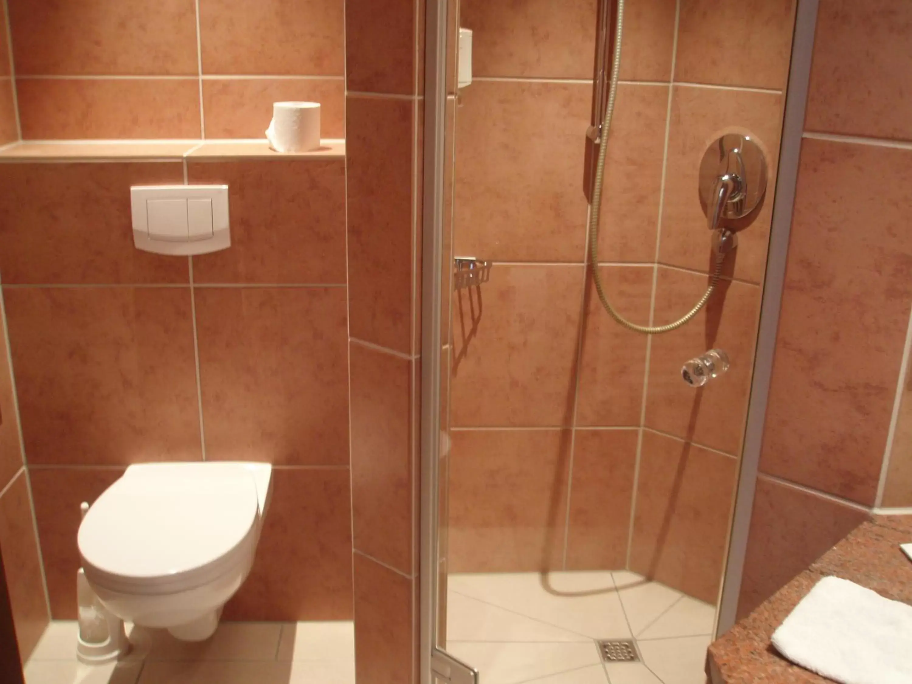 Standard Single Room in Ringhotel Teutoburger Wald Standard Single Room in Ringhotel Teutoburger Wald