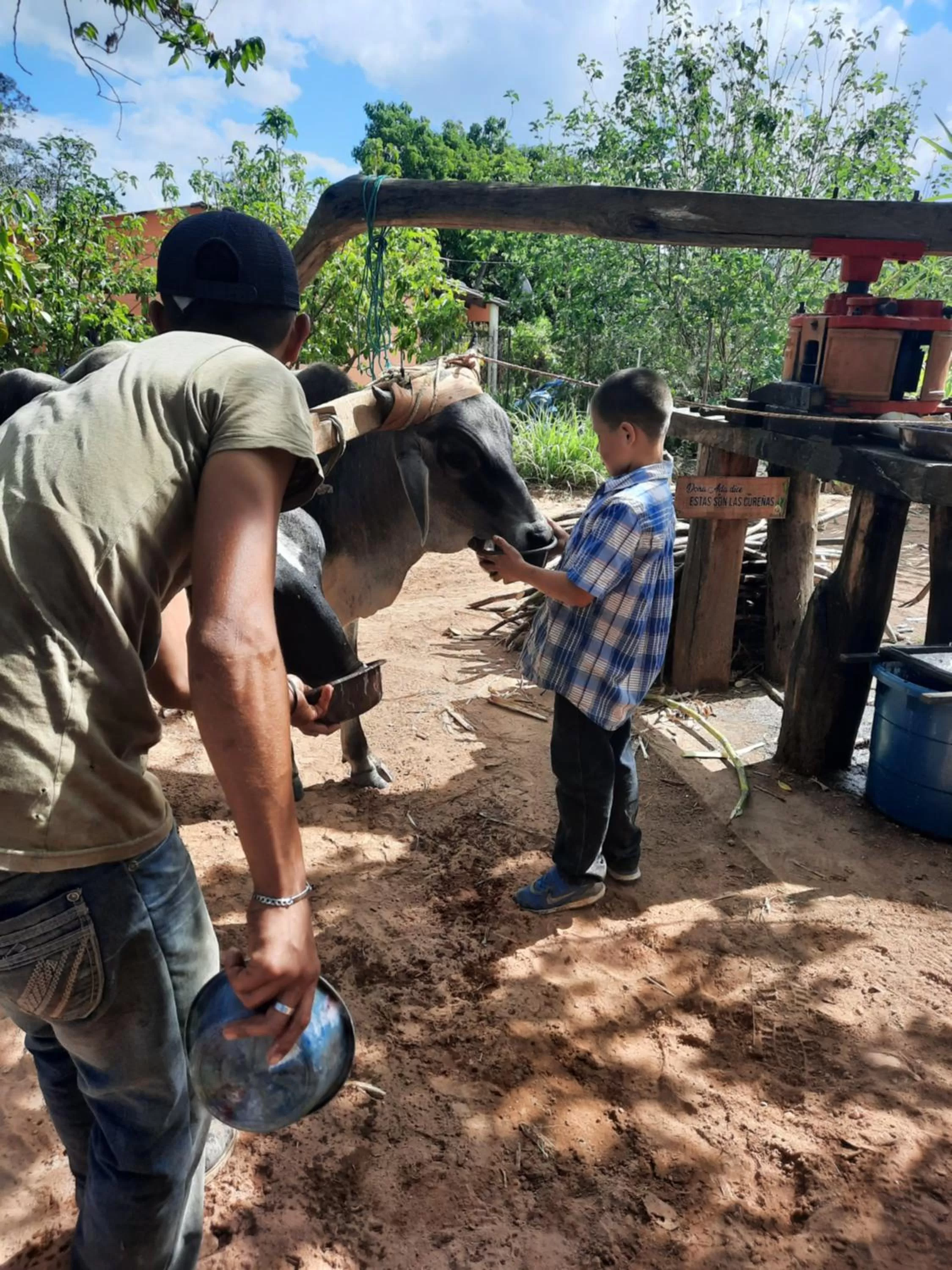 Entertainment in Hotel de Campo Villa de Ada