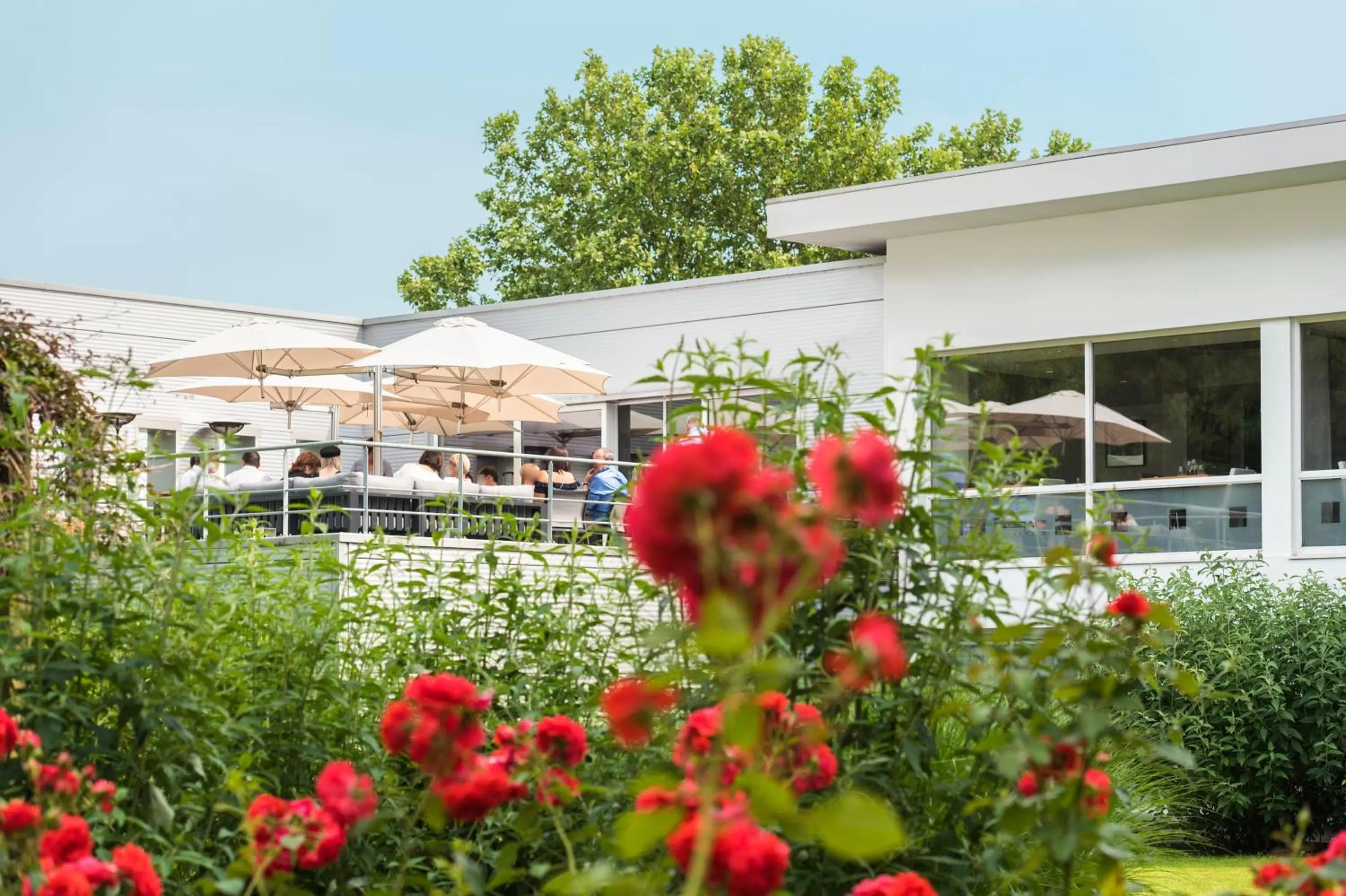 Garden in Novotel Brussels Airport