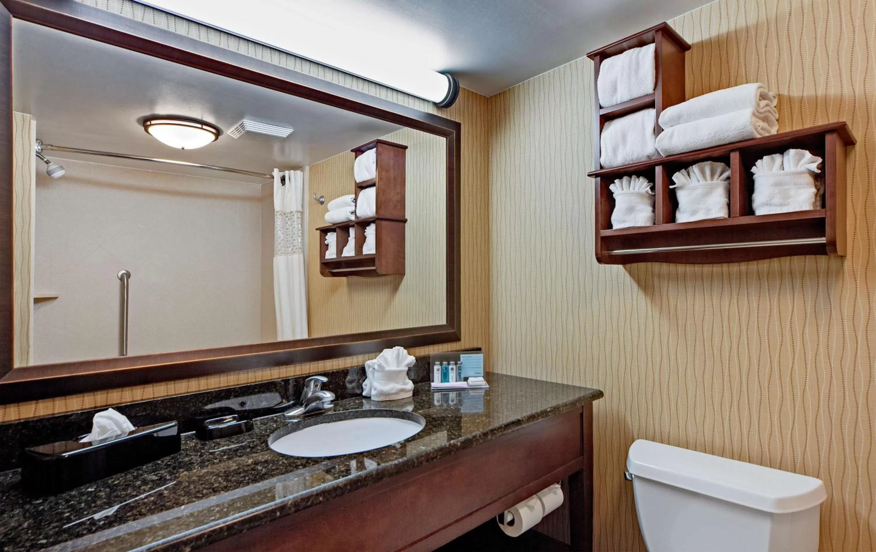 Bathroom in Hampton Inn Myrtle Beach Broadway at the Beach