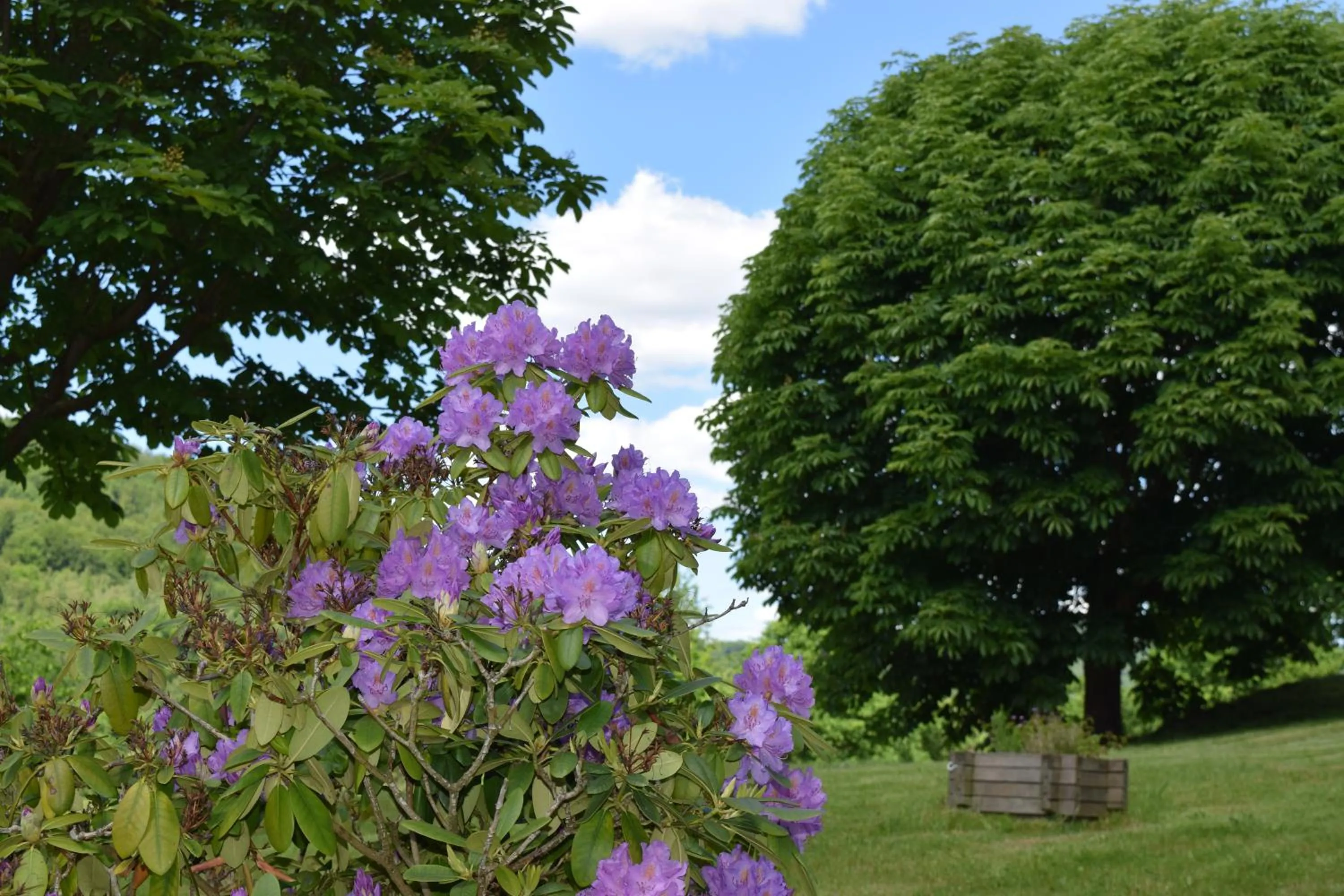 Garden in Landhotel Weisses Ross garni