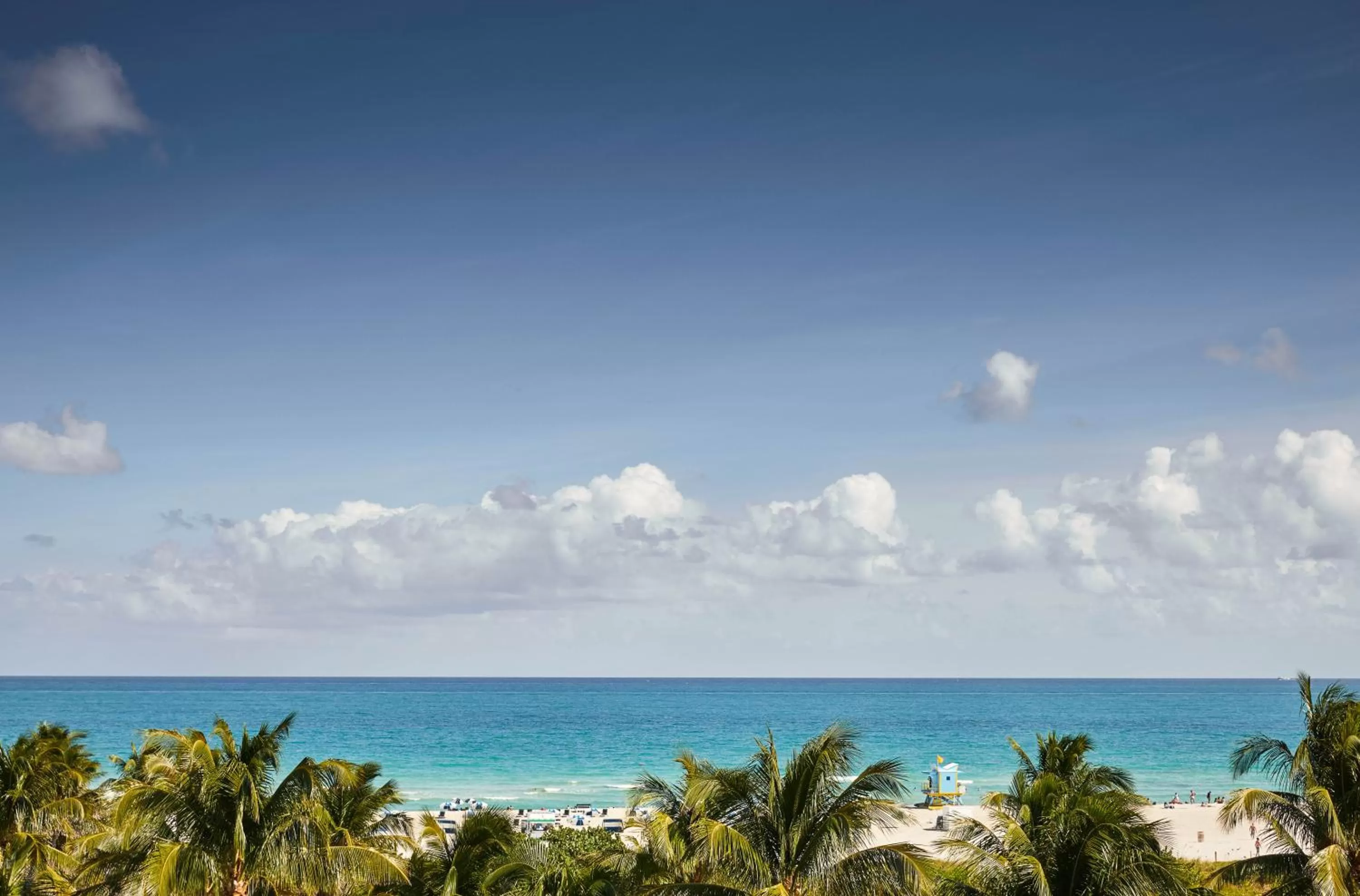 Day in The Betsy Hotel, South Beach